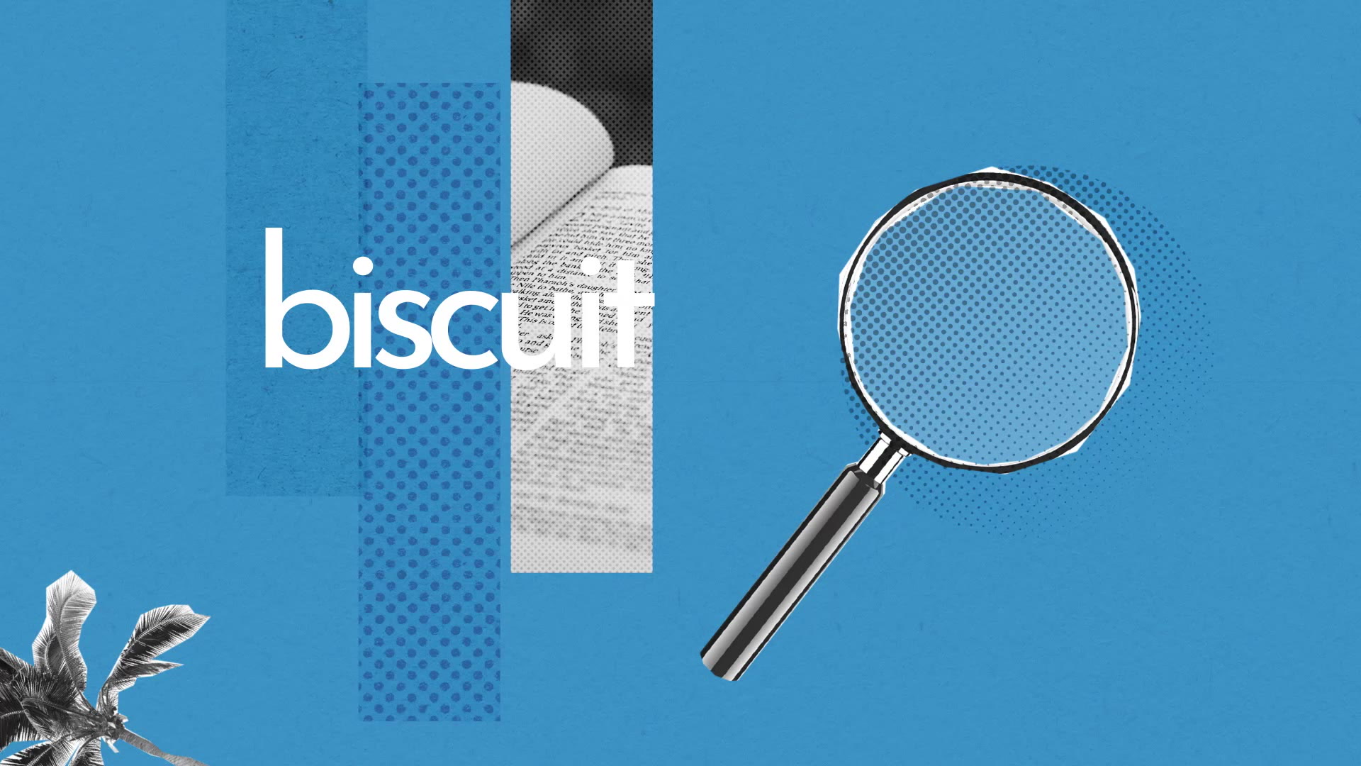 Biscuit Definition Simple Et Facile Du Dictionnaire