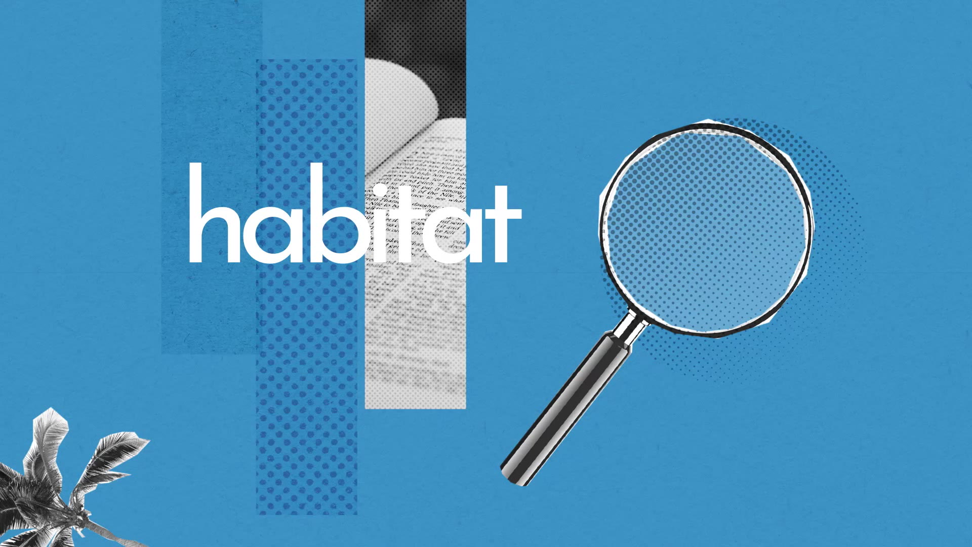 Synonyme de habitat new arrivals