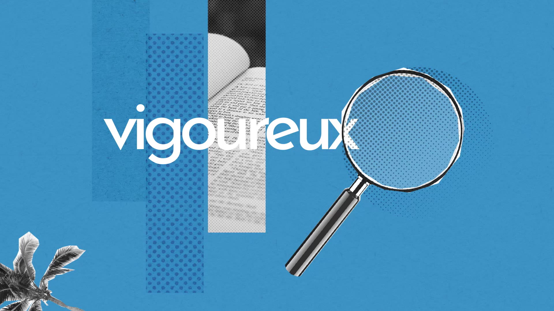 Vigoureux : Définition simple et facile du dictionnaire