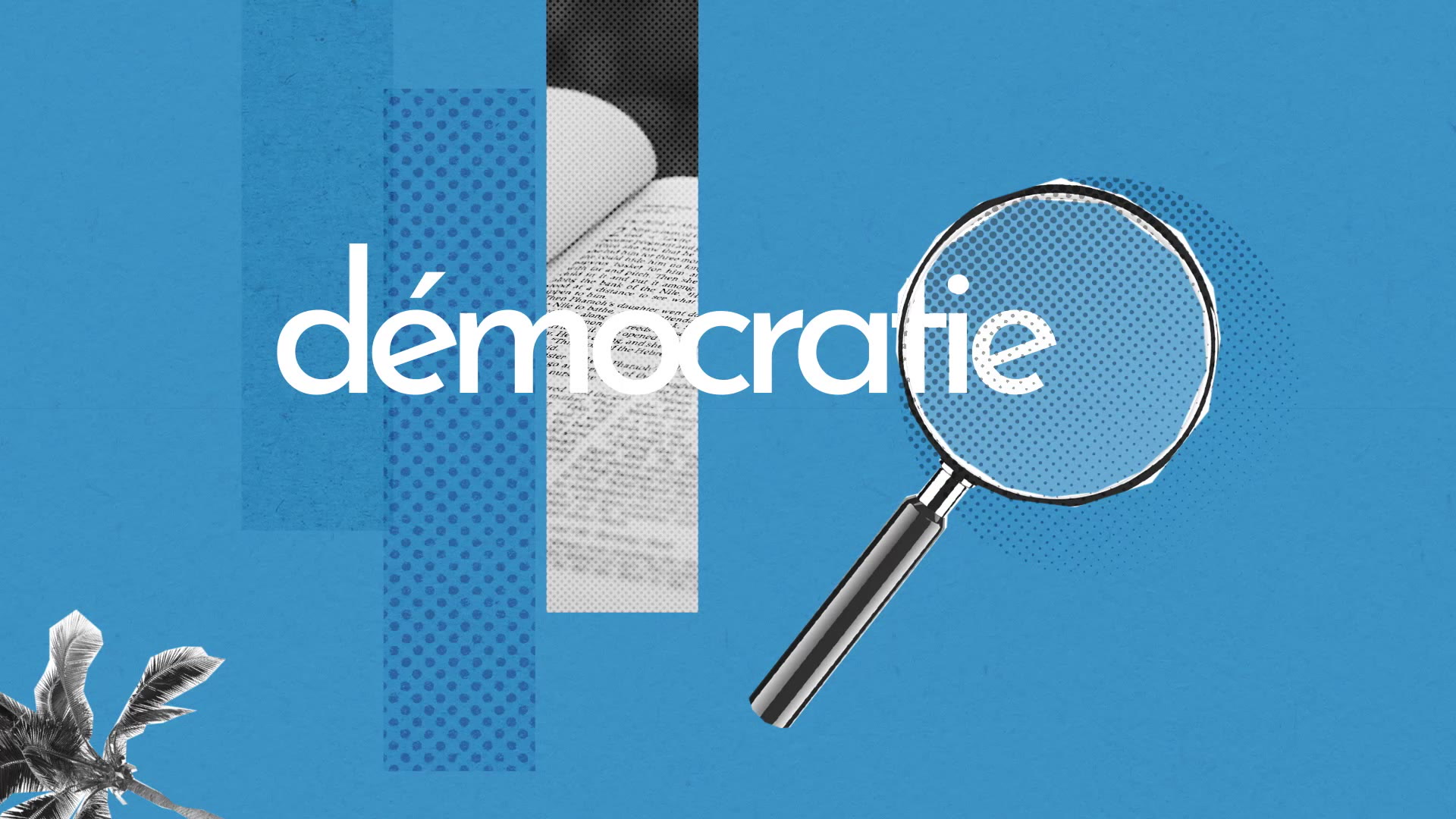 Democratie Definition Simple Et Facile Du Dictionnaire