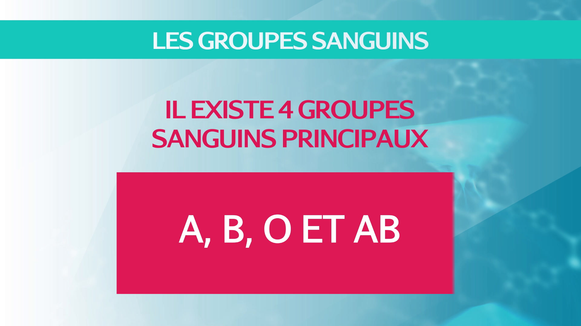 Groupes Sanguins O A B Ab Definition Et Compatibilite