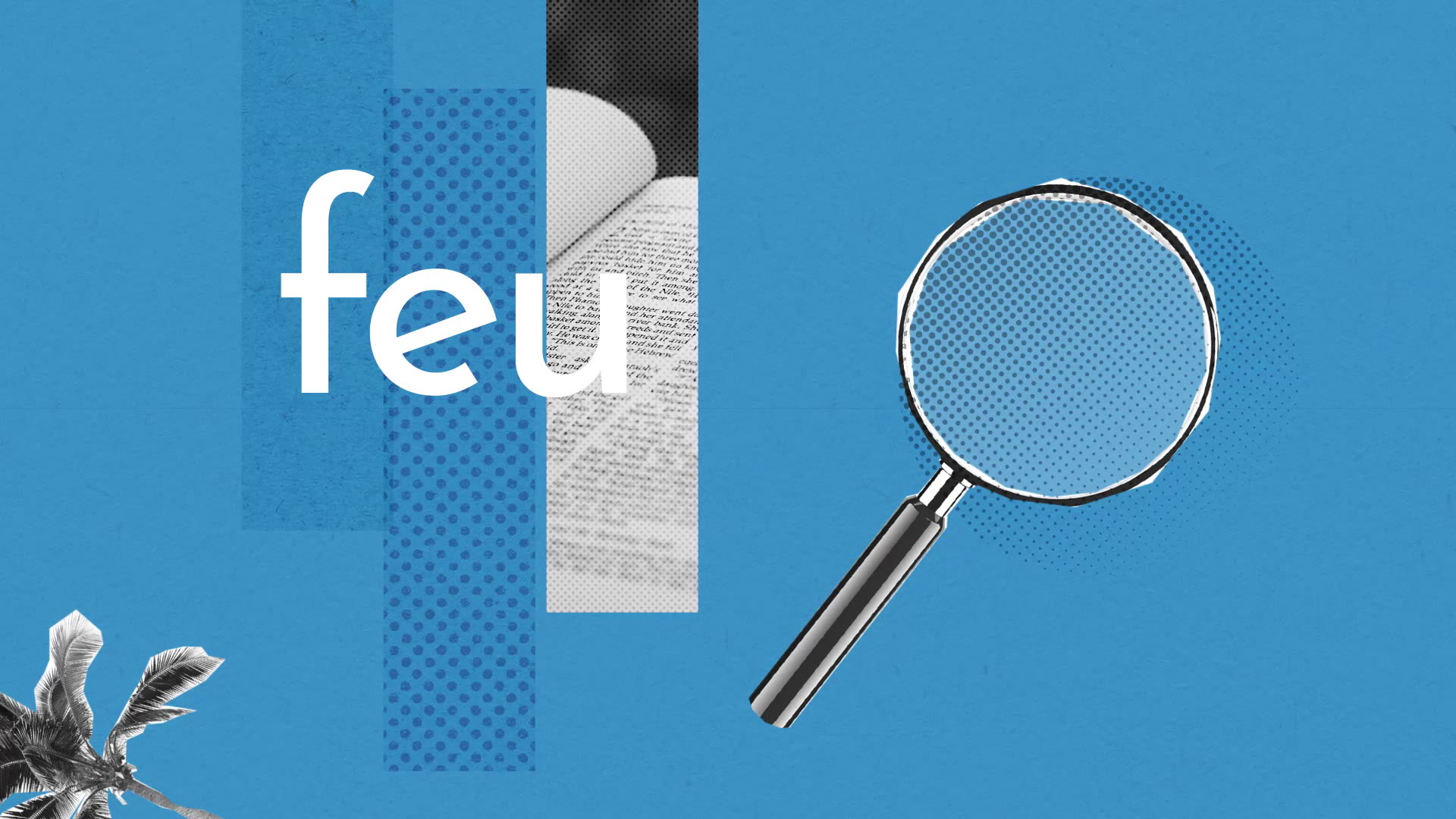 Feu Definition Simple Et Facile Du Dictionnaire