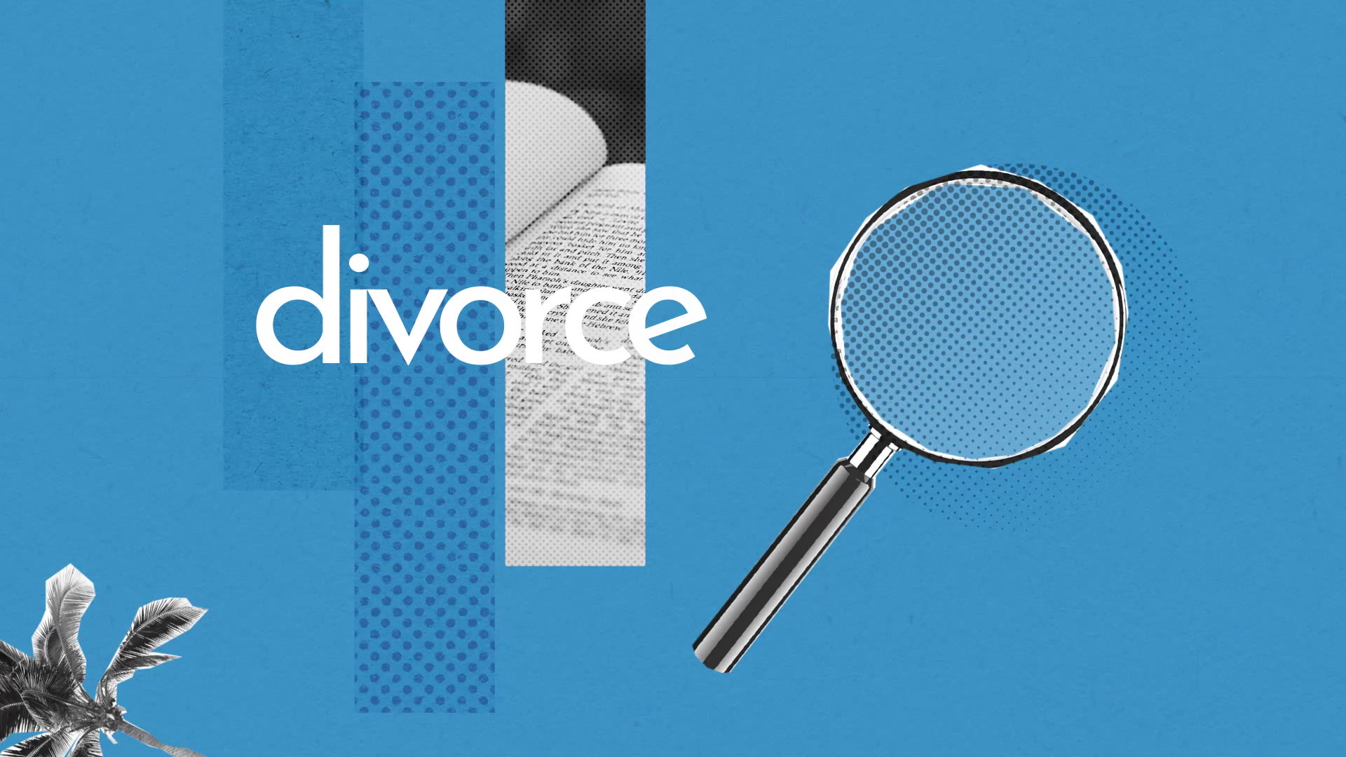 Divorce Definition Simple Et Facile Du Dictionnaire