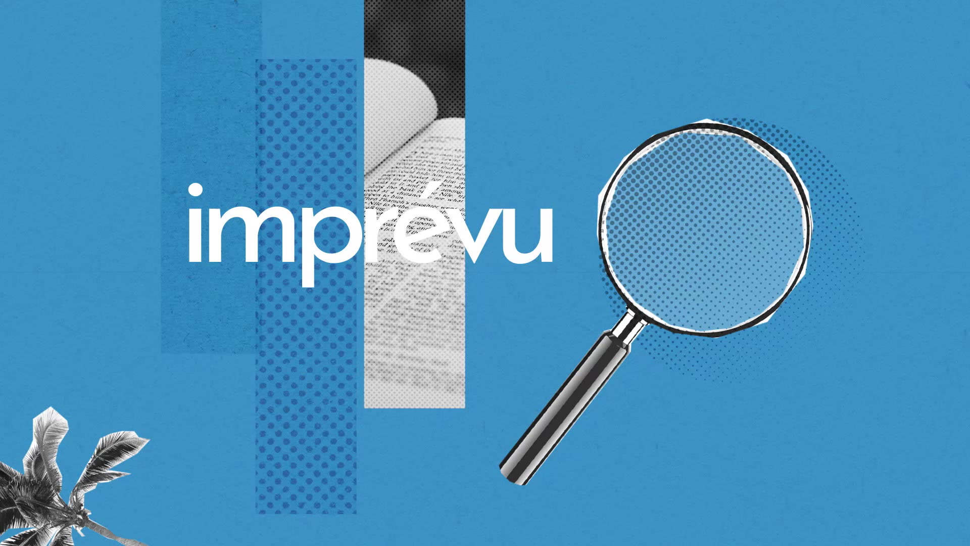 Imprevu Definition Simple Et Facile Du Dictionnaire