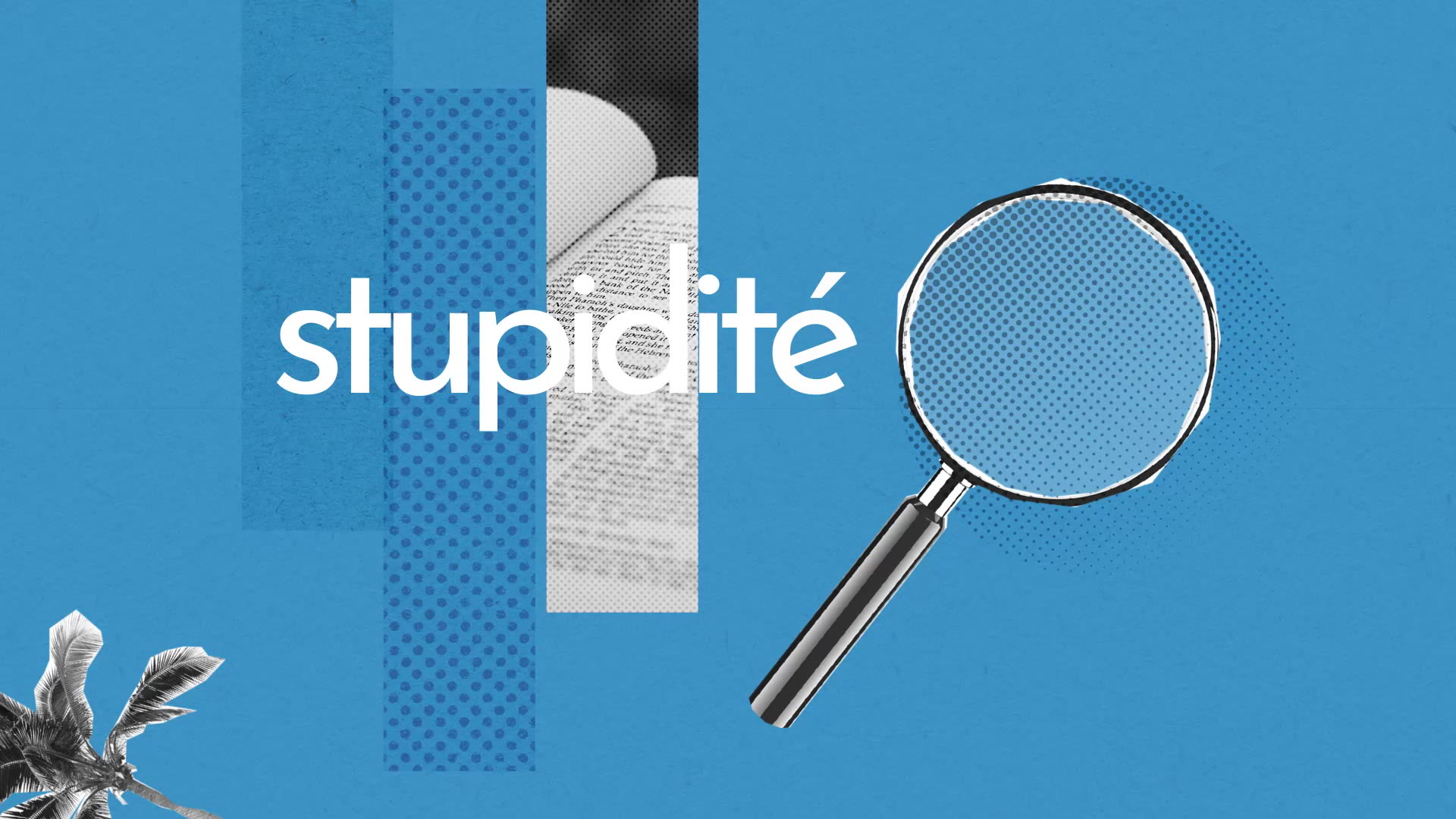 Stupidite Definition Simple Et Facile Du Dictionnaire