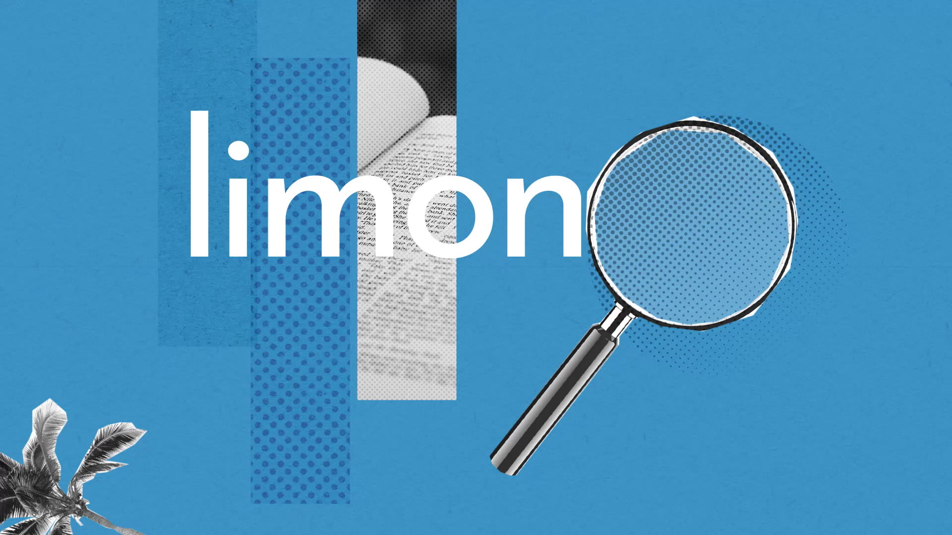 Limon : Définition simple et facile du dictionnaire