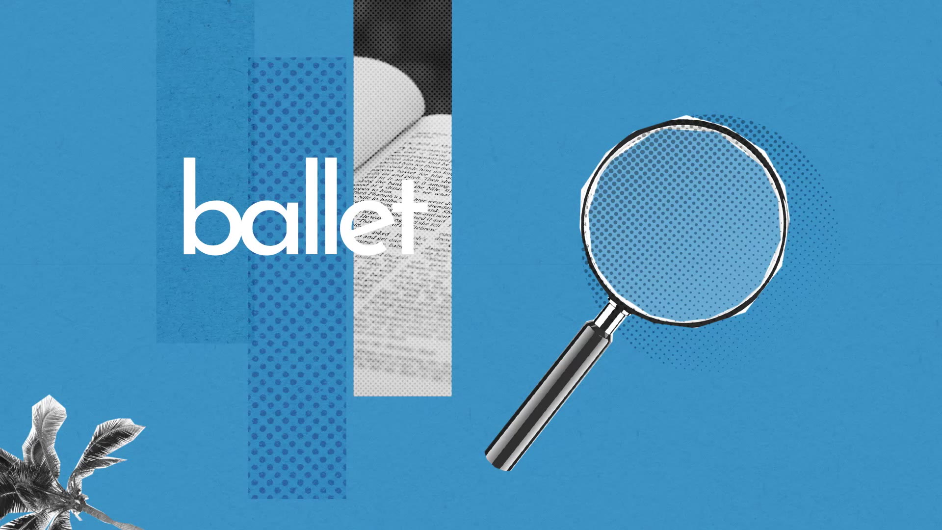 Ballet Definition Simple Et Facile Du Dictionnaire