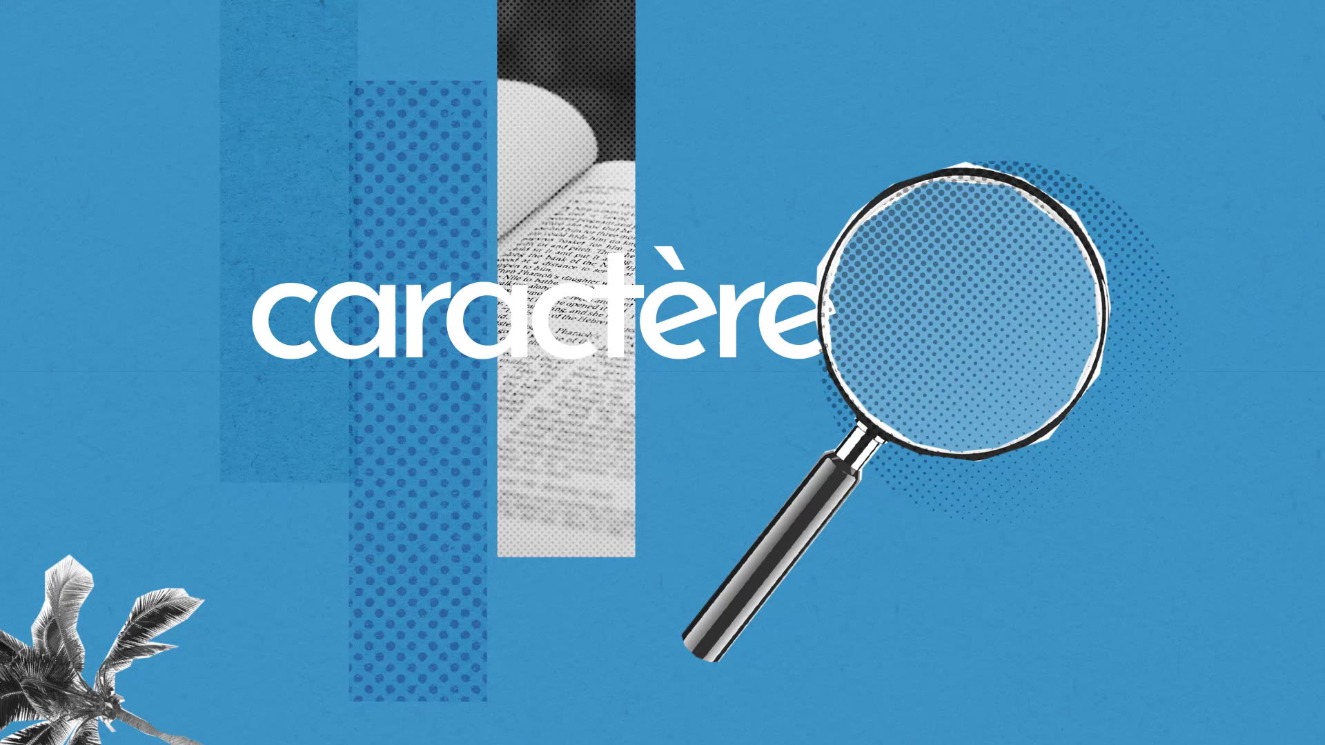 Caractere Definition Simple Et Facile Du Dictionnaire