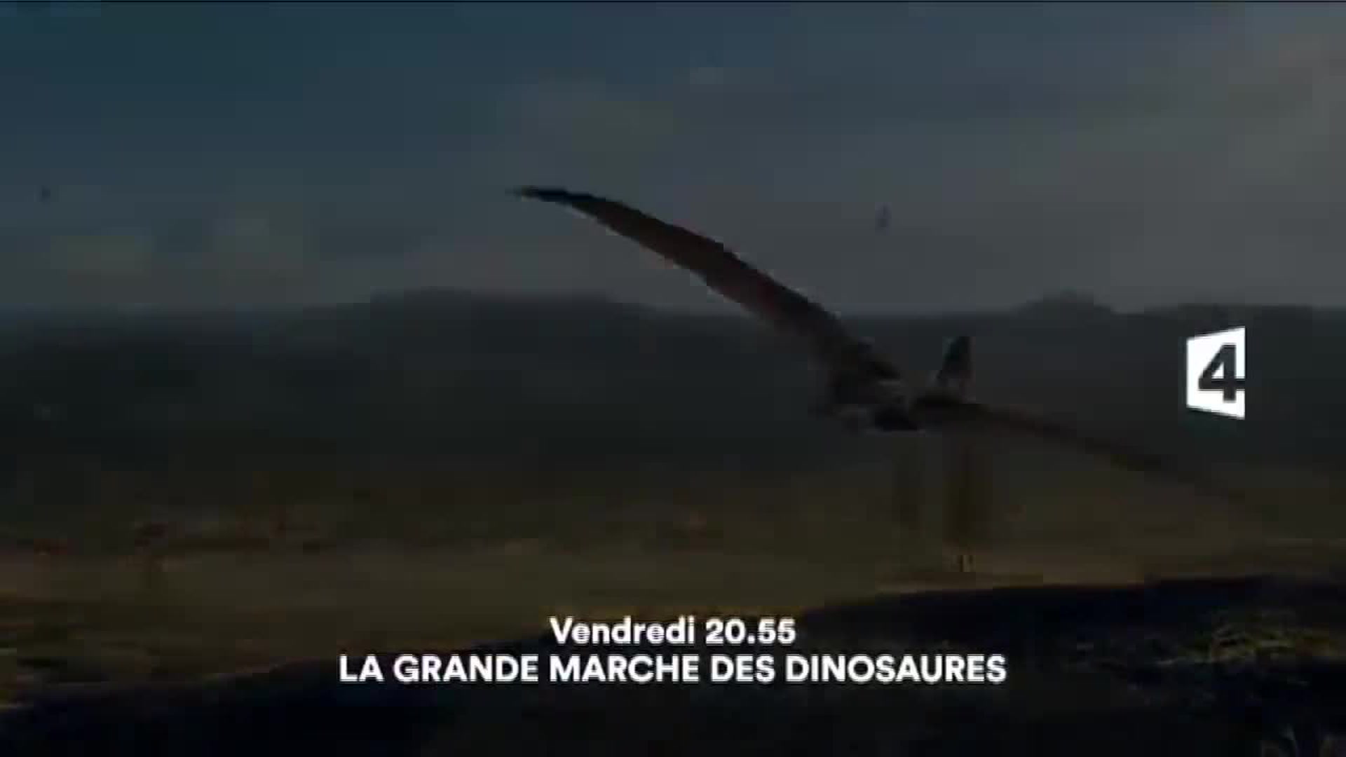 La grande marche des dinosaures