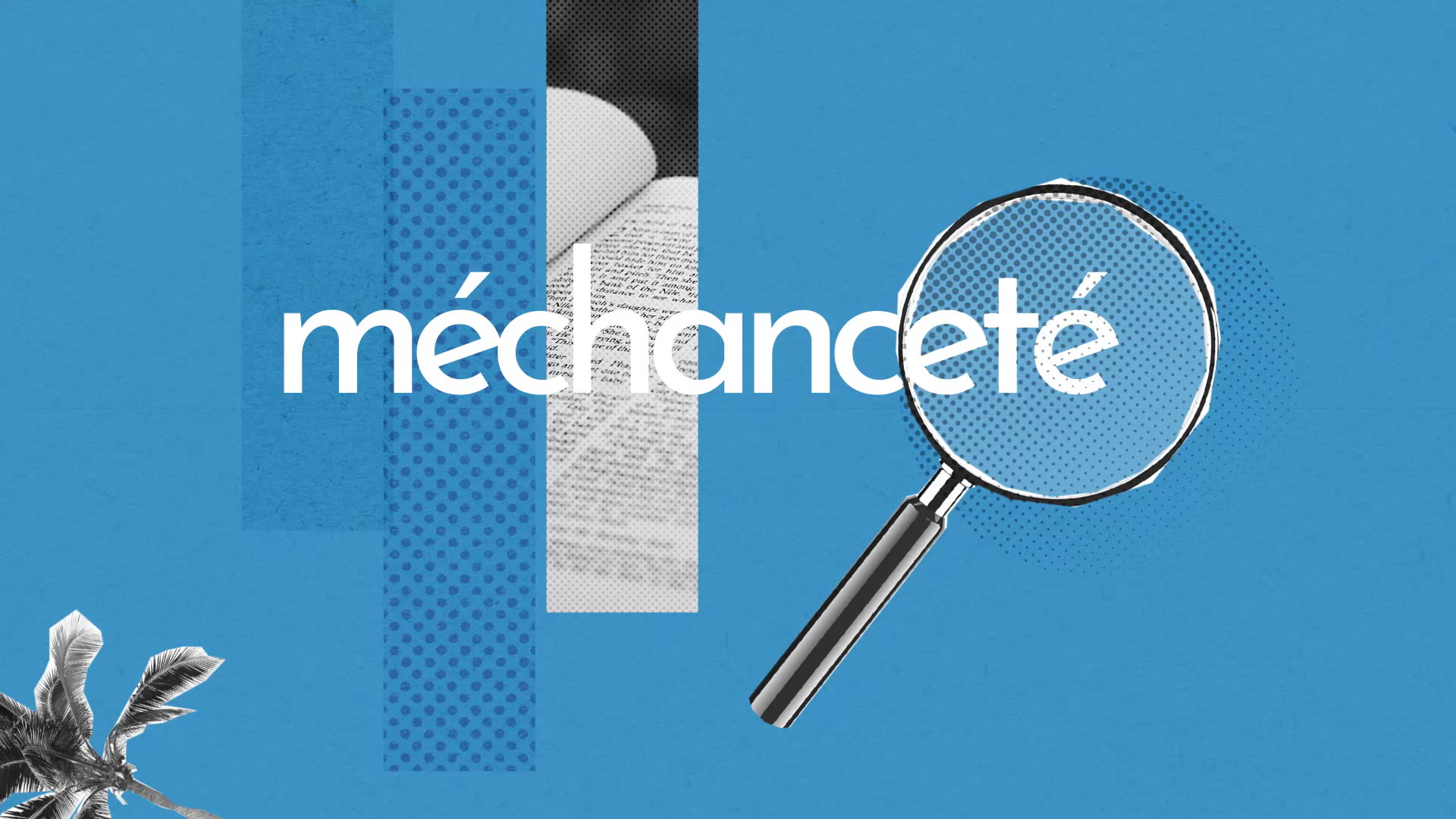 Mechancete Definition Simple Et Facile Du Dictionnaire