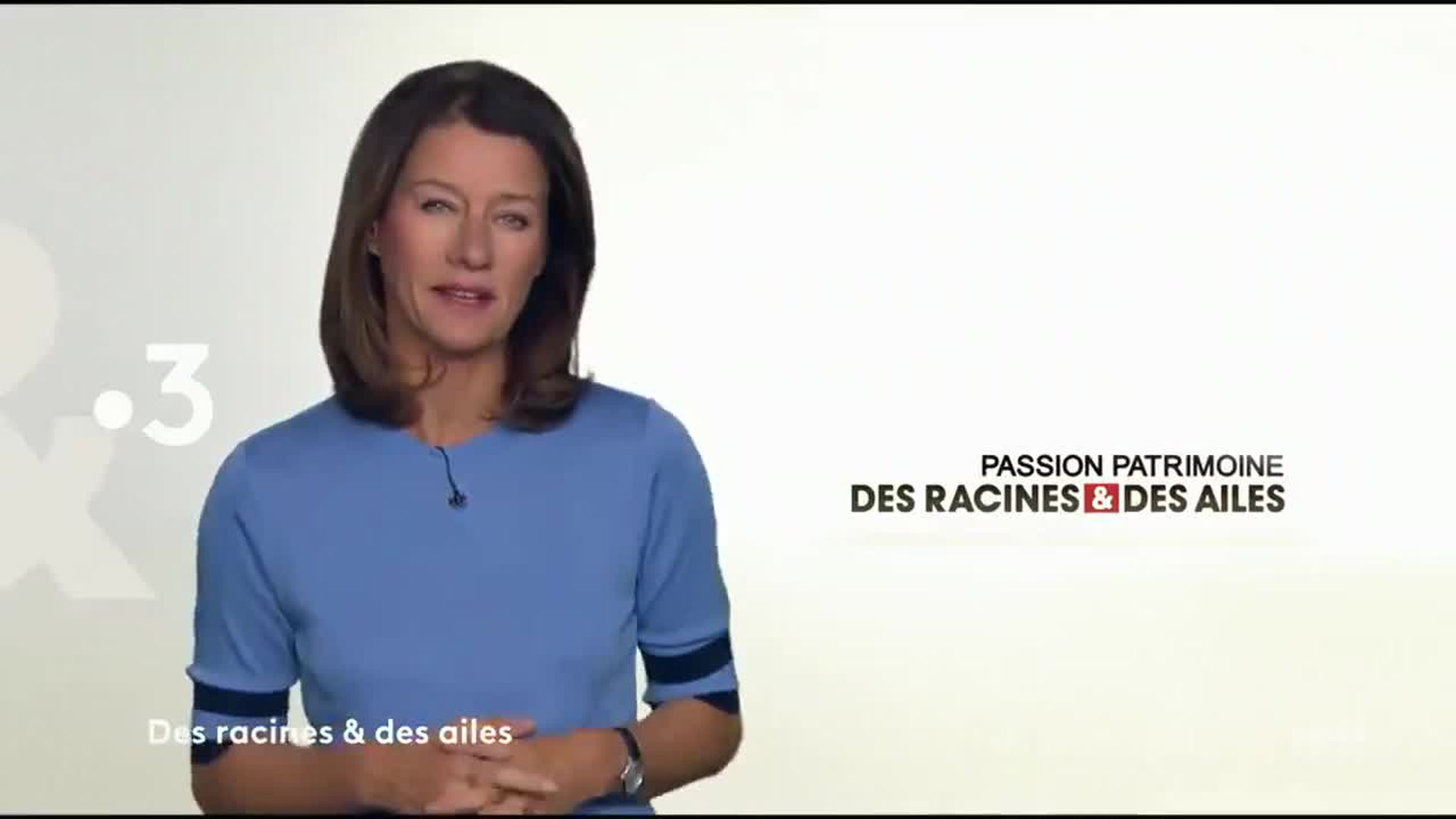 Des racines et des ailes : Passion patrimoine : Du Poitou aux îles des Charentes