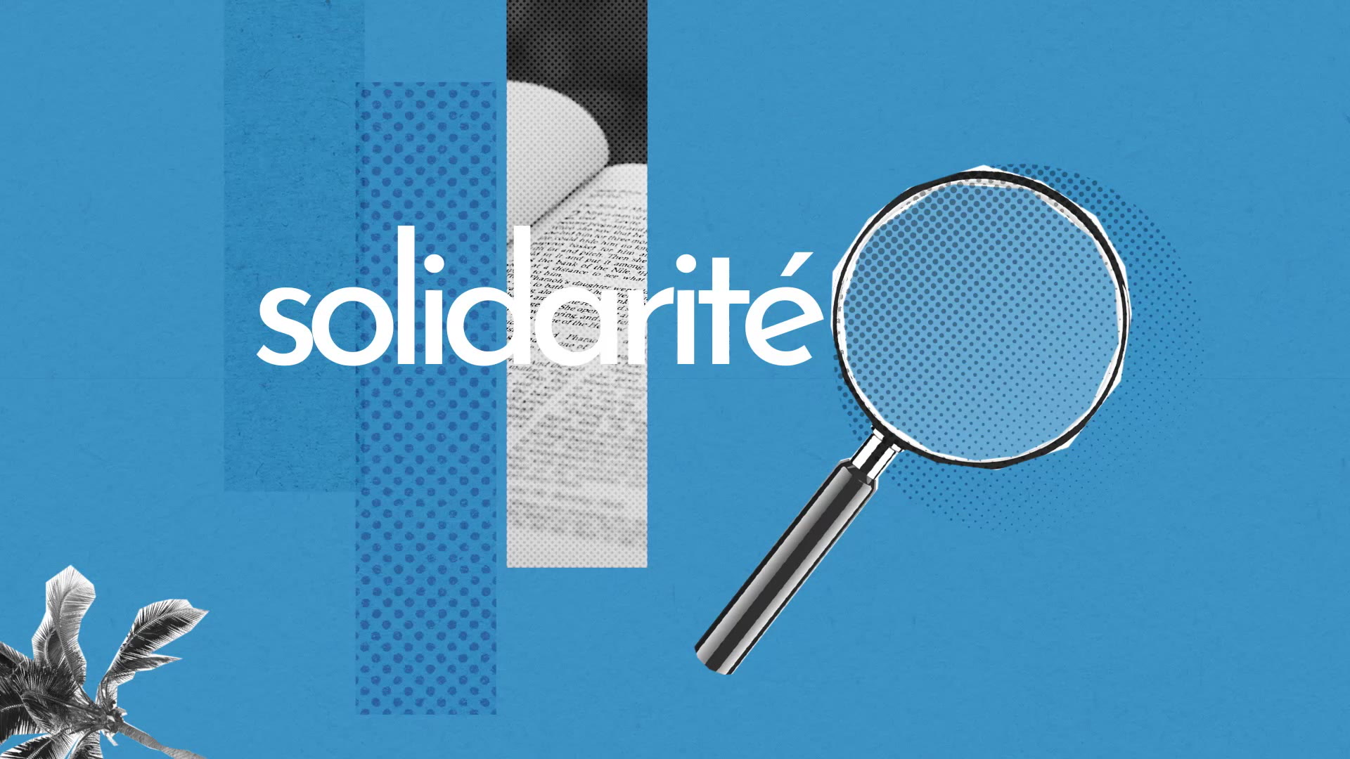 Solidarite Definition Simple Et Facile Du Dictionnaire