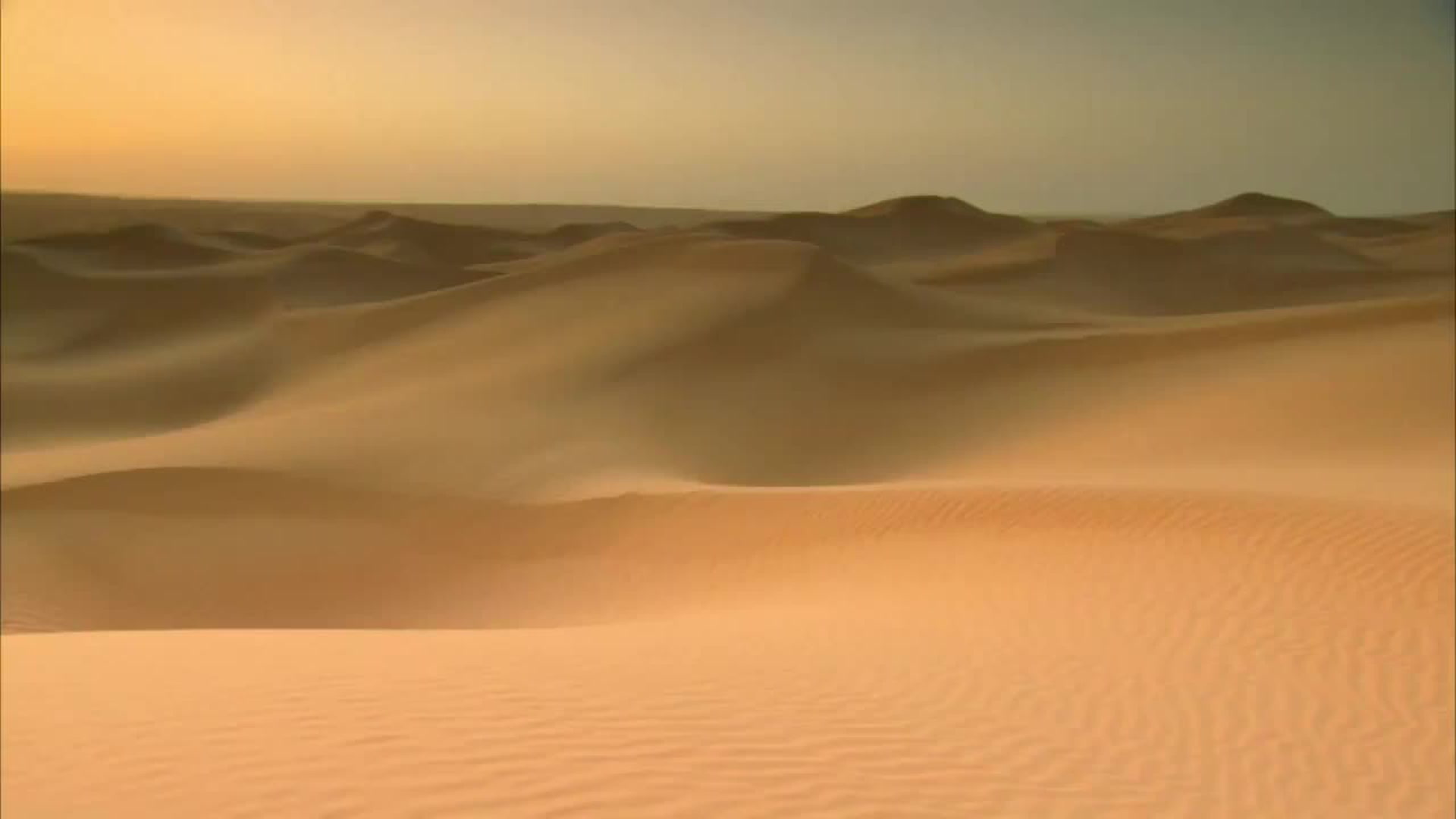 Destination Wild : Déserts du Moyen-Orient : Egypte