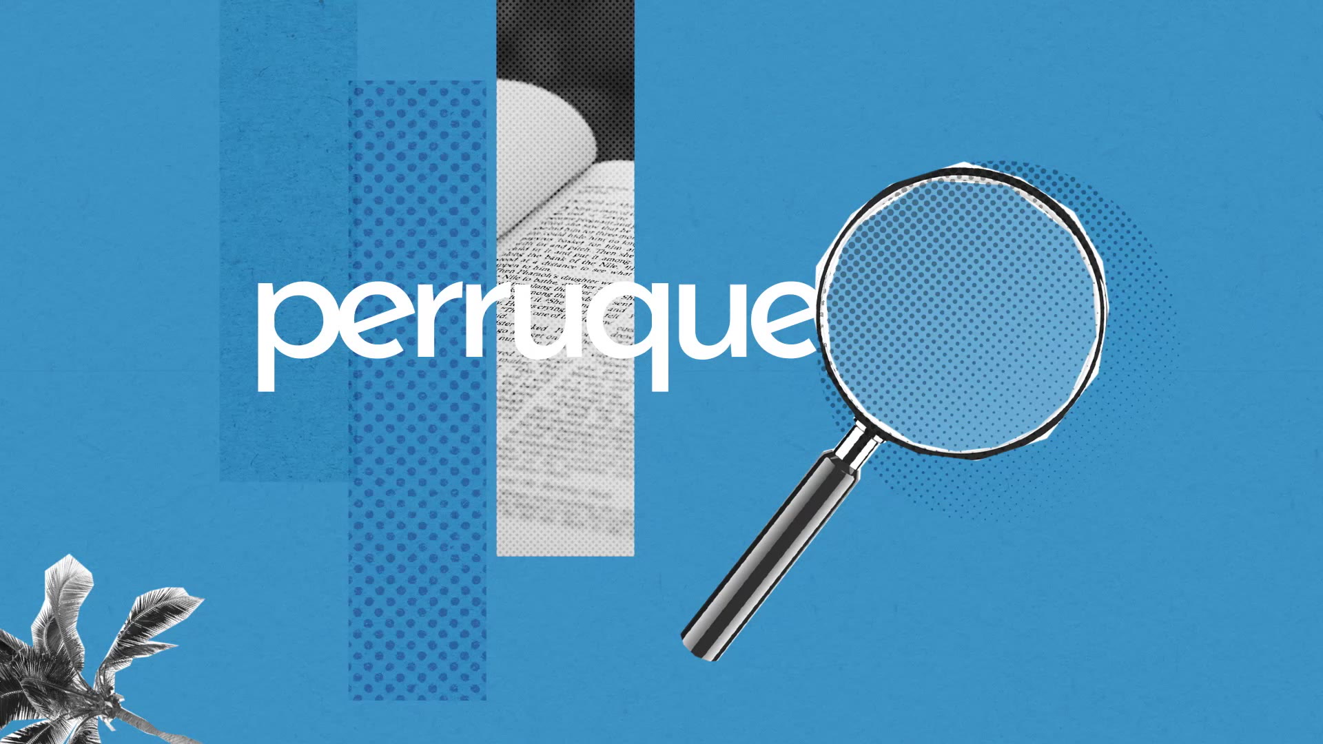 definition perruque