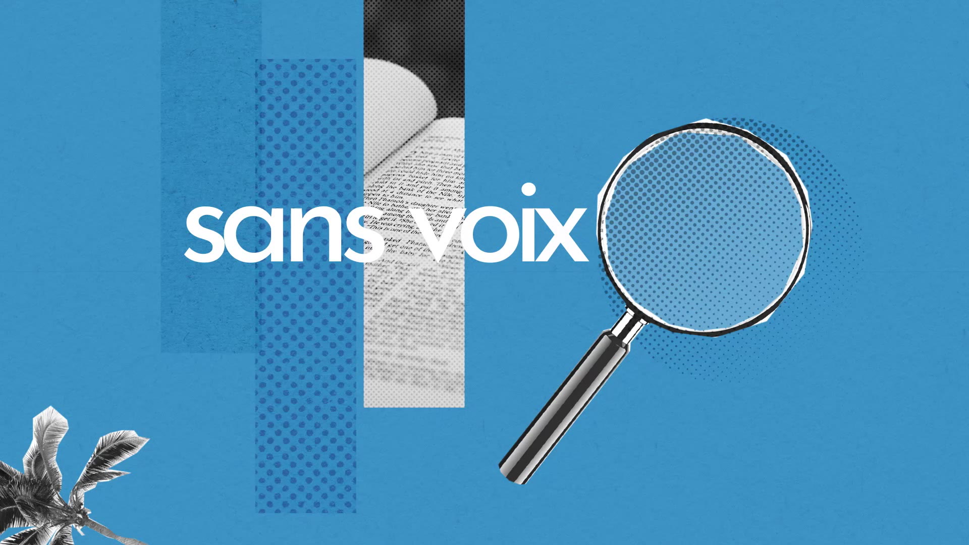 Sans Voix Definition Simple Et Facile Du Dictionnaire