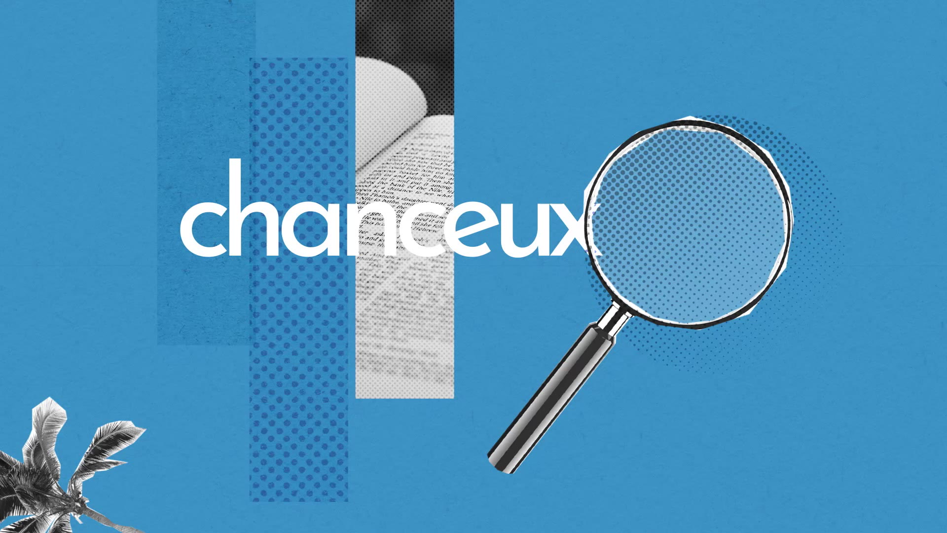 Chanceux Definition Simple Et Facile Du Dictionnaire