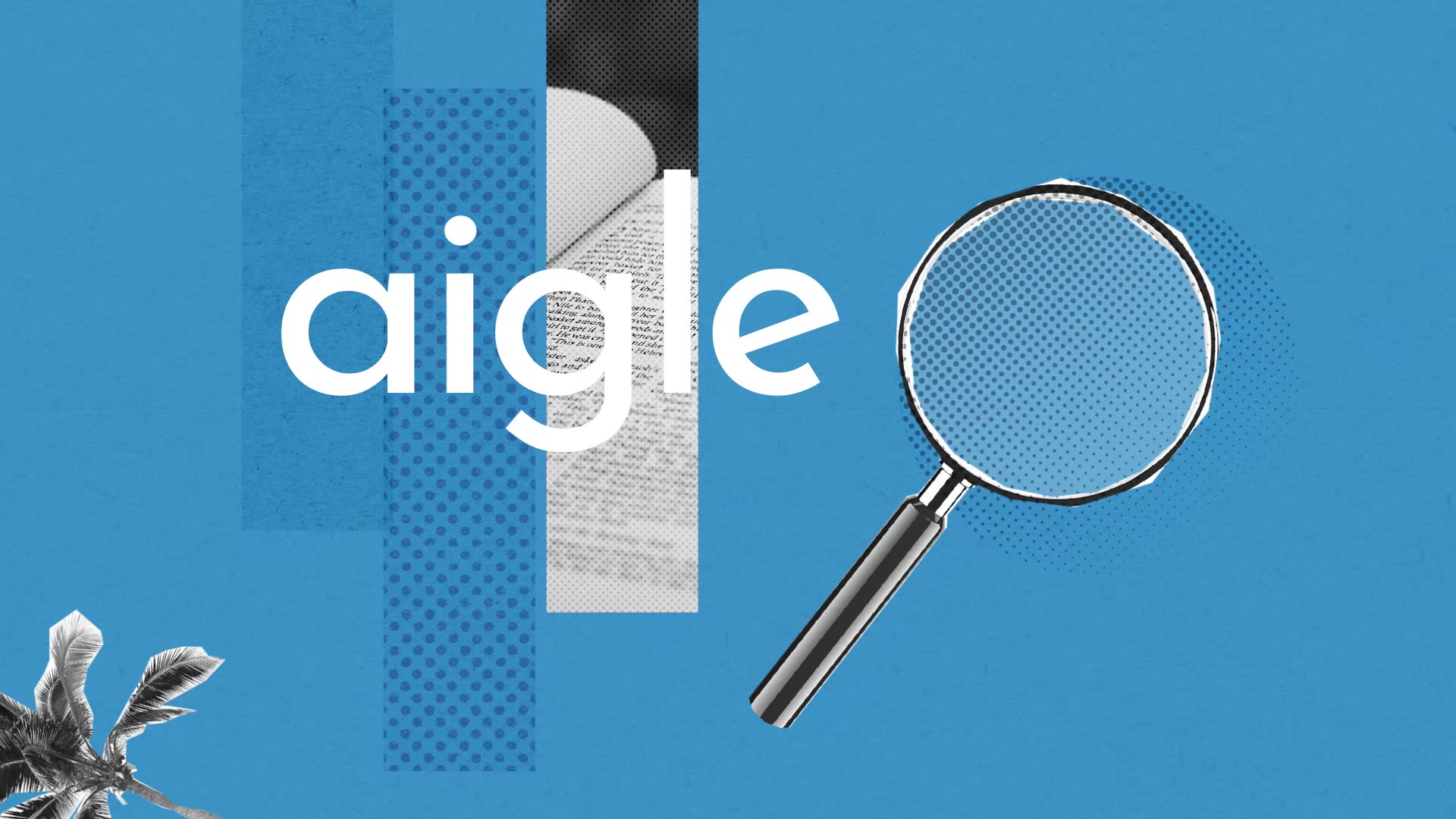 Aigle Definition Simple Et Facile Du Dictionnaire
