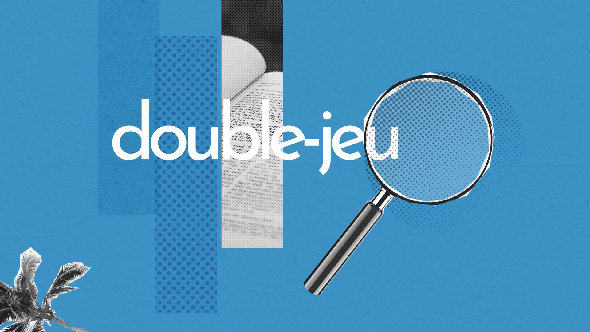 Double Jeu Definition Simple Et Facile Du Dictionnaire