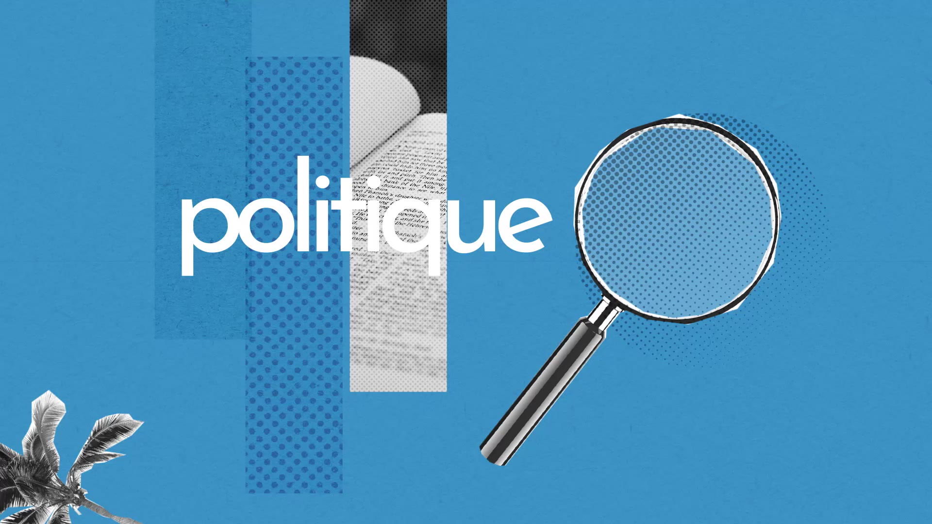 Politique Definition Simple Et Facile Du Dictionnaire