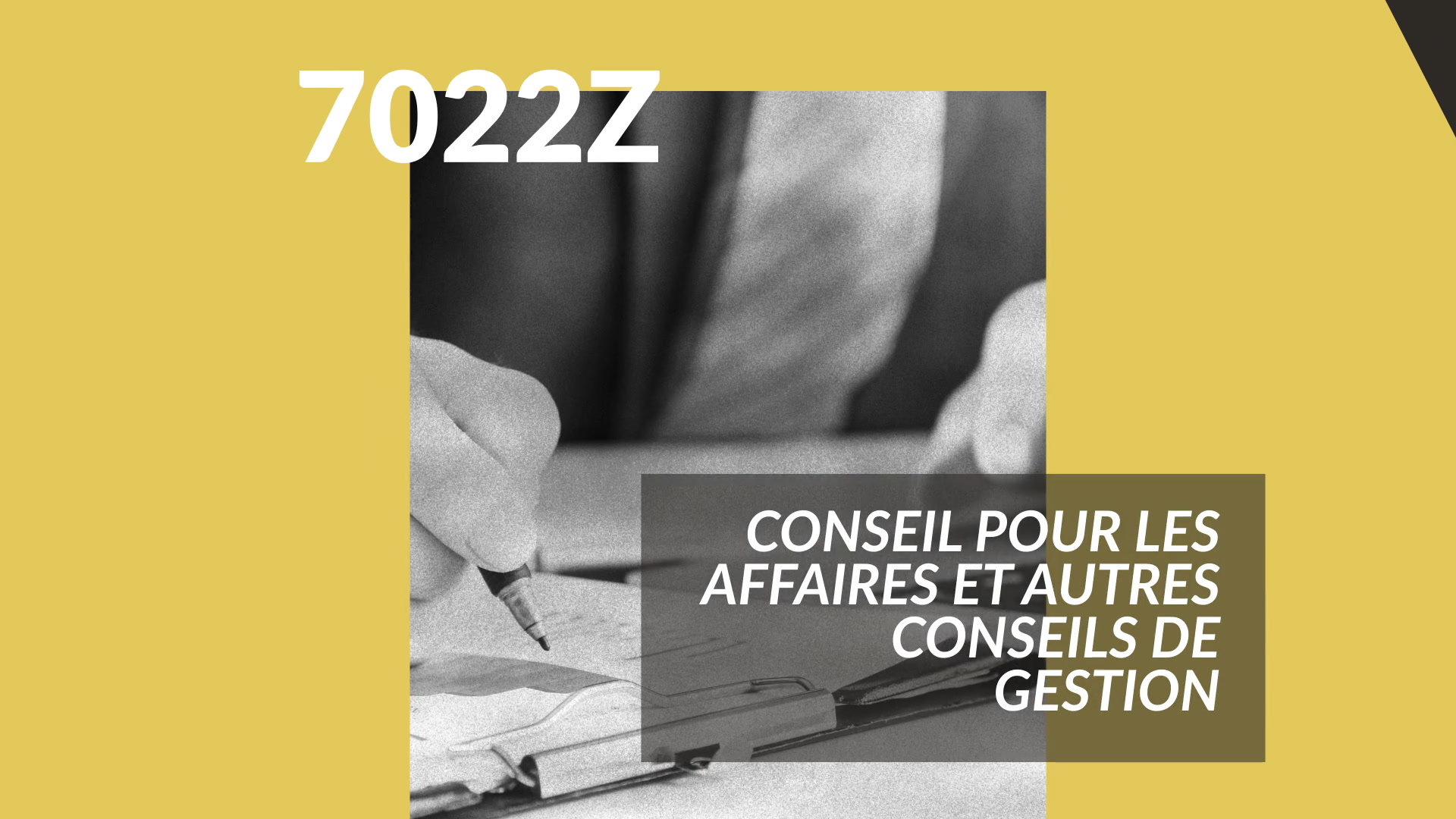 7022z Conseil Pour Les Affaires Et Autres Conseils De Gestion Immaup Conseil (78270) : siret, siren, TVA, bilan gratuit...