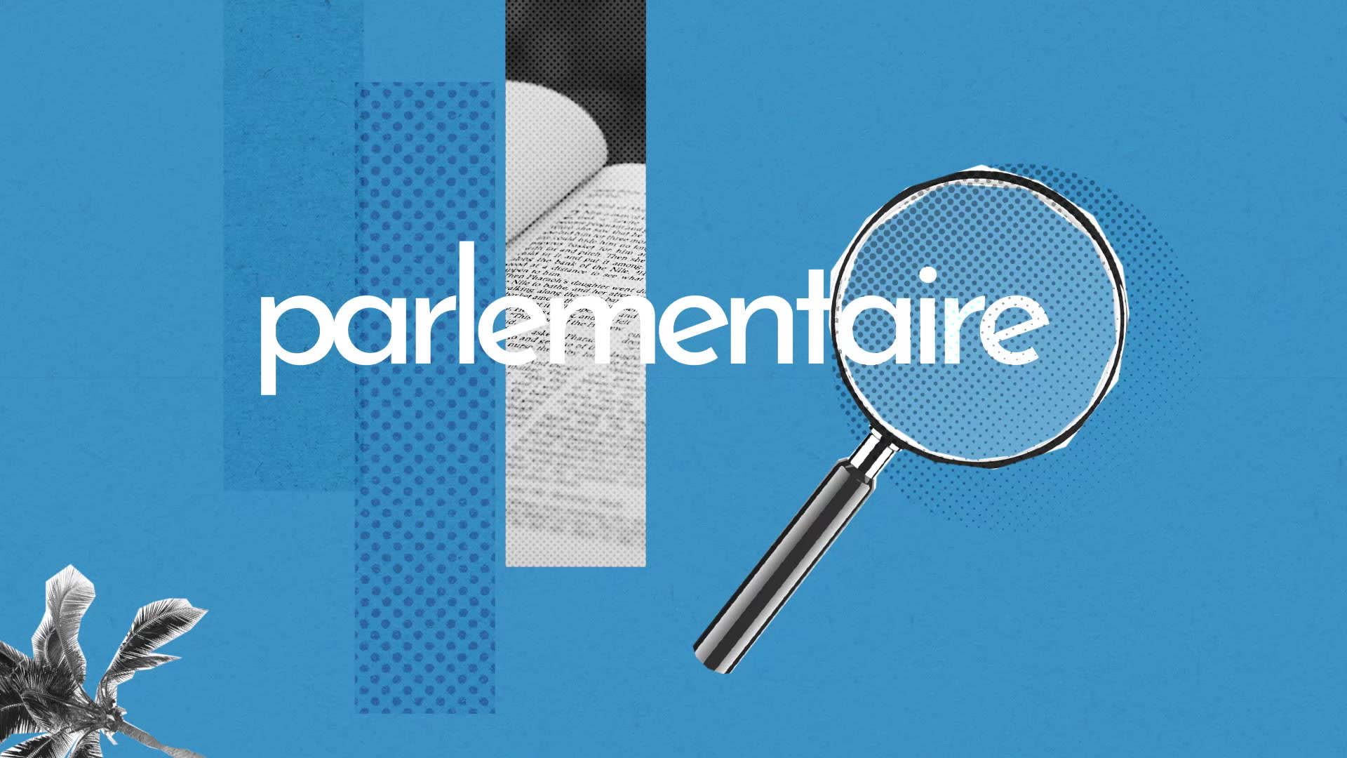 Parlementaire Definition Simple Et Facile Du Dictionnaire