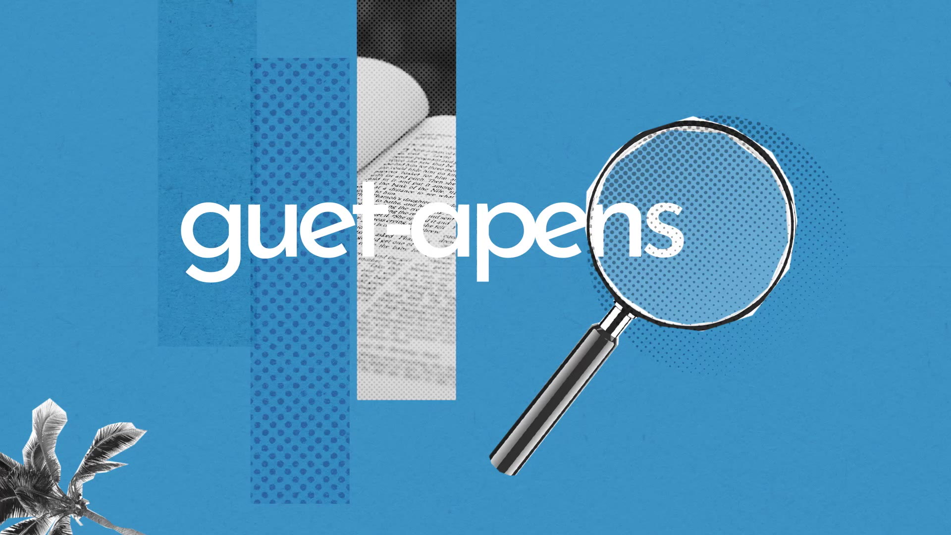 Guet Apens Definition Simple Et Facile Du Dictionnaire