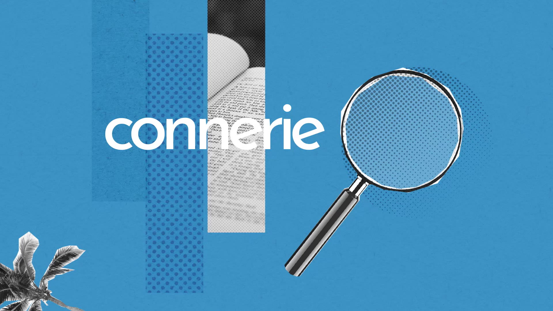 Connerie Definition Simple Et Facile Du Dictionnaire