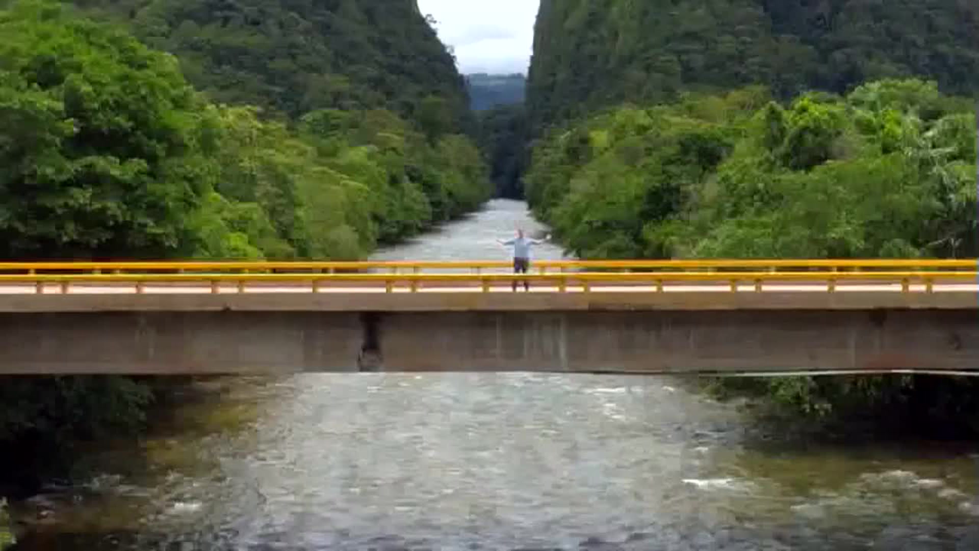 Les enquêtes d'Ushuaïa TV : Colombie, drapeau blanc pour la nature