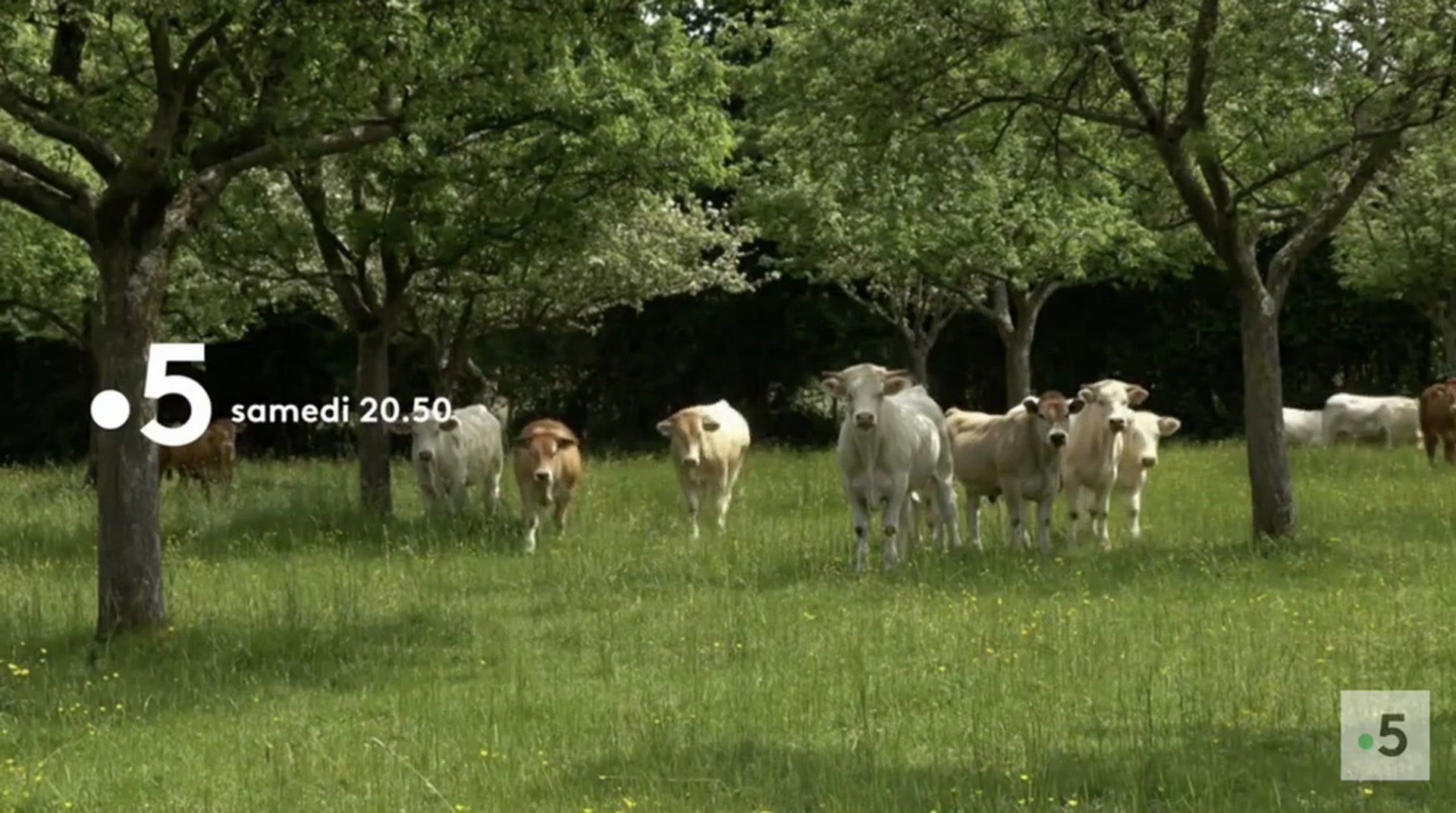 Echappées belles : Normandie gourmande