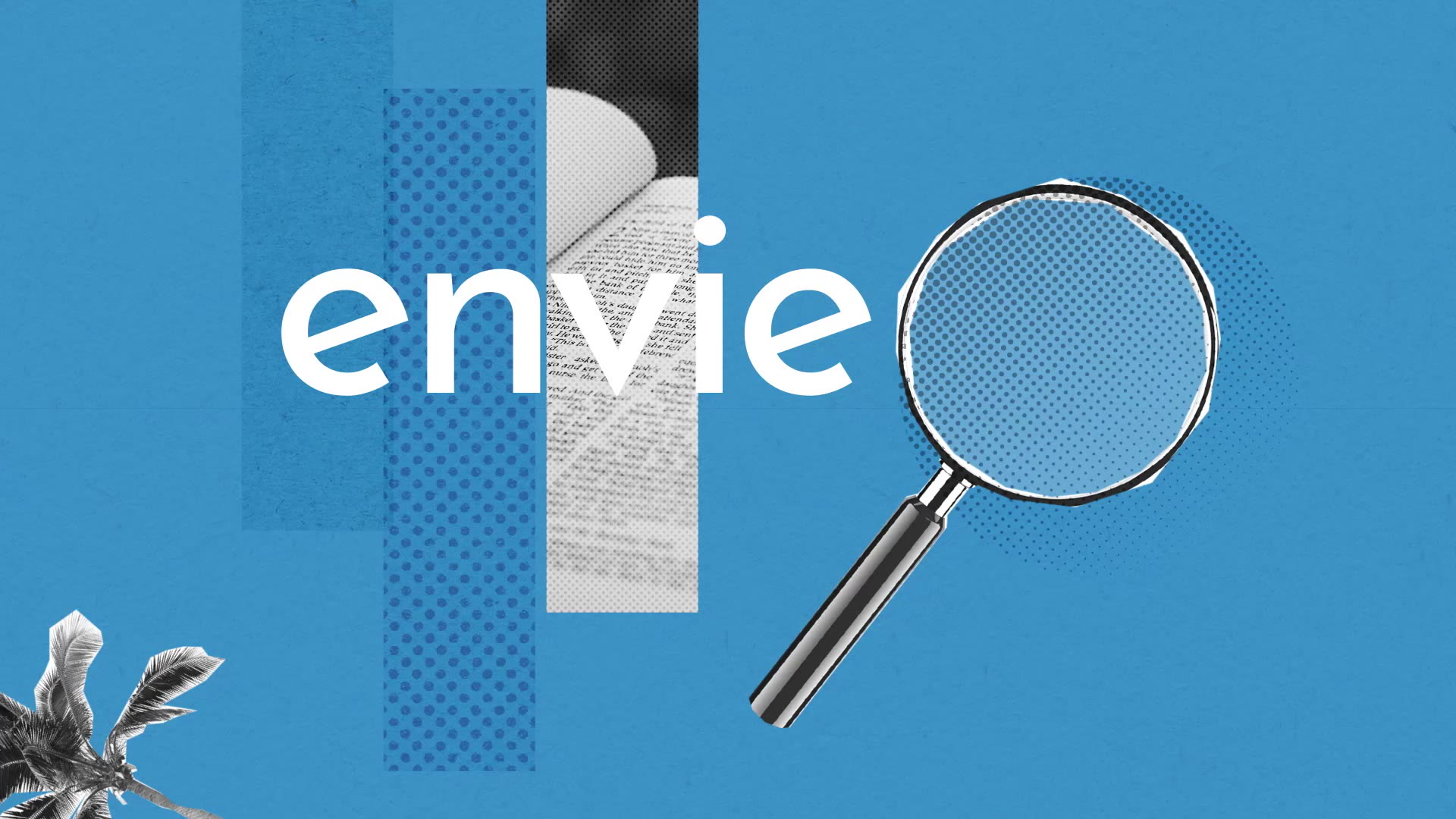 Envie Definition Simple Et Facile Du Dictionnaire