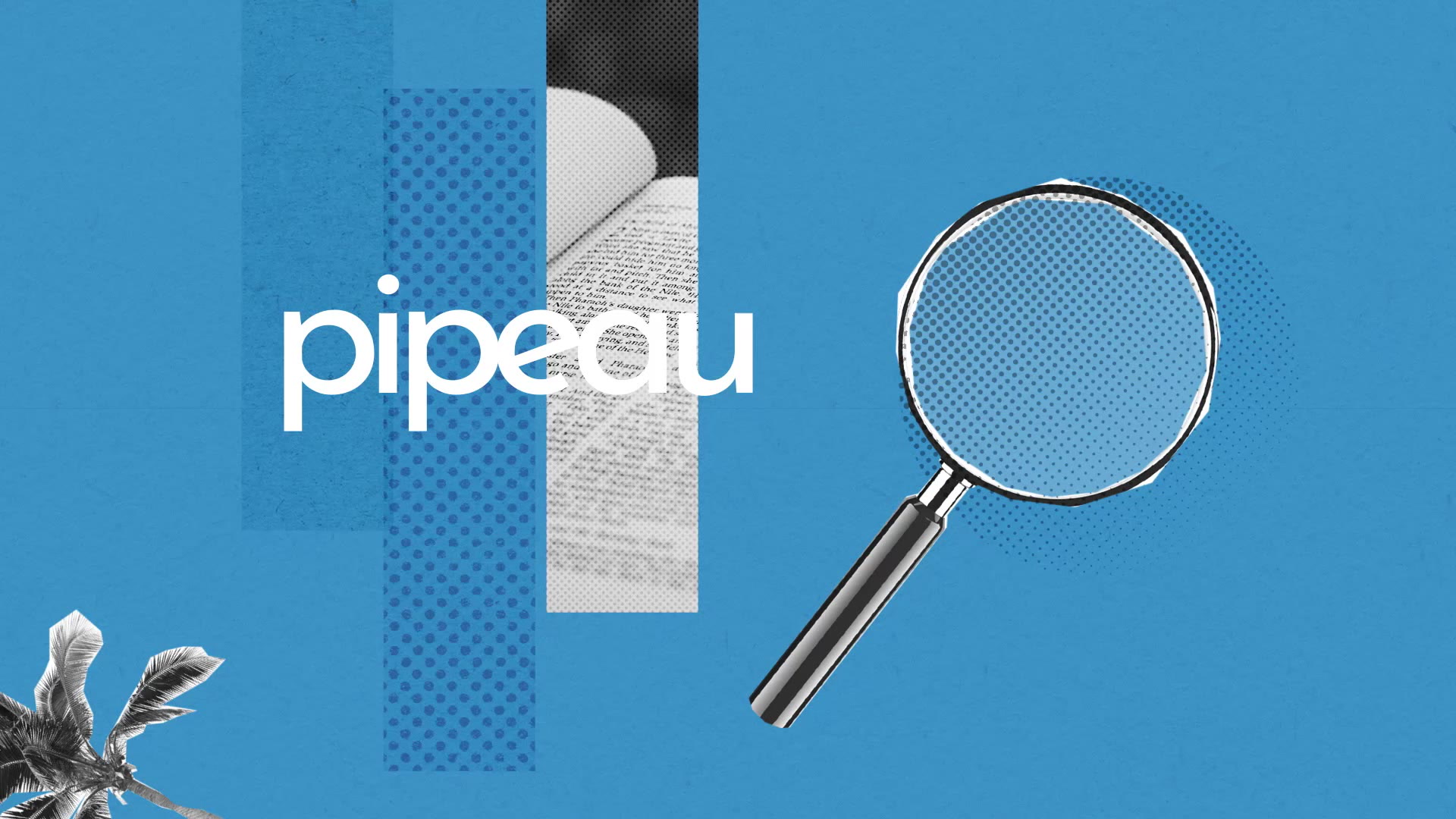 Pipeau Definition Simple Et Facile Du Dictionnaire