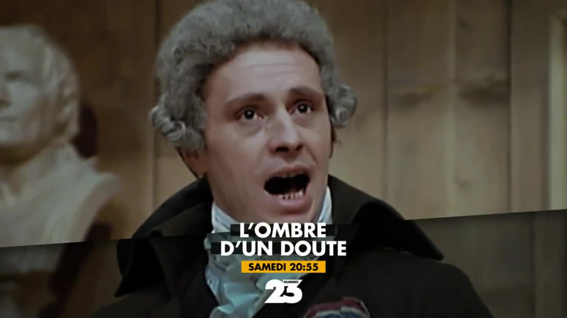 L'ombre d'un doute : L'enfant de Marie-Antoinette est-il mort à la prison du temple ?