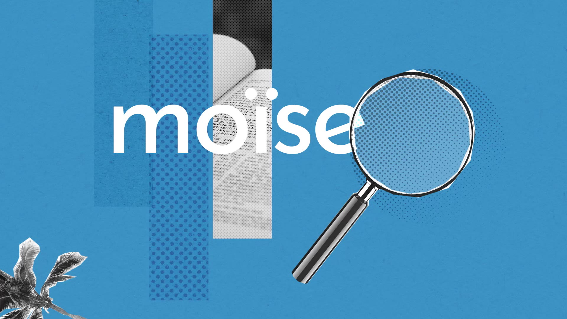 Moise Definition Simple Et Facile Du Dictionnaire