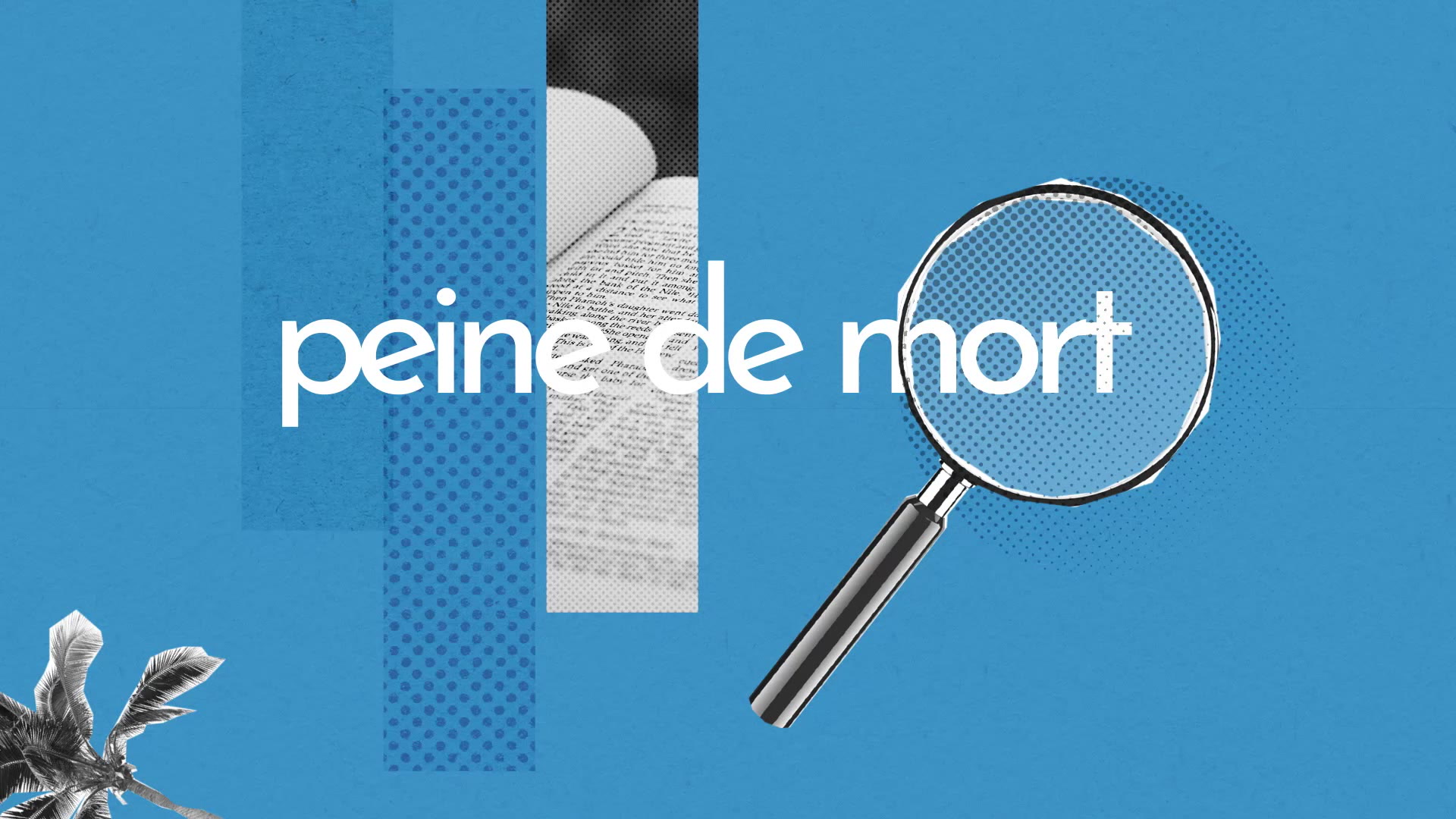 Peine De Mort Definition Simple Et Facile Du Dictionnaire