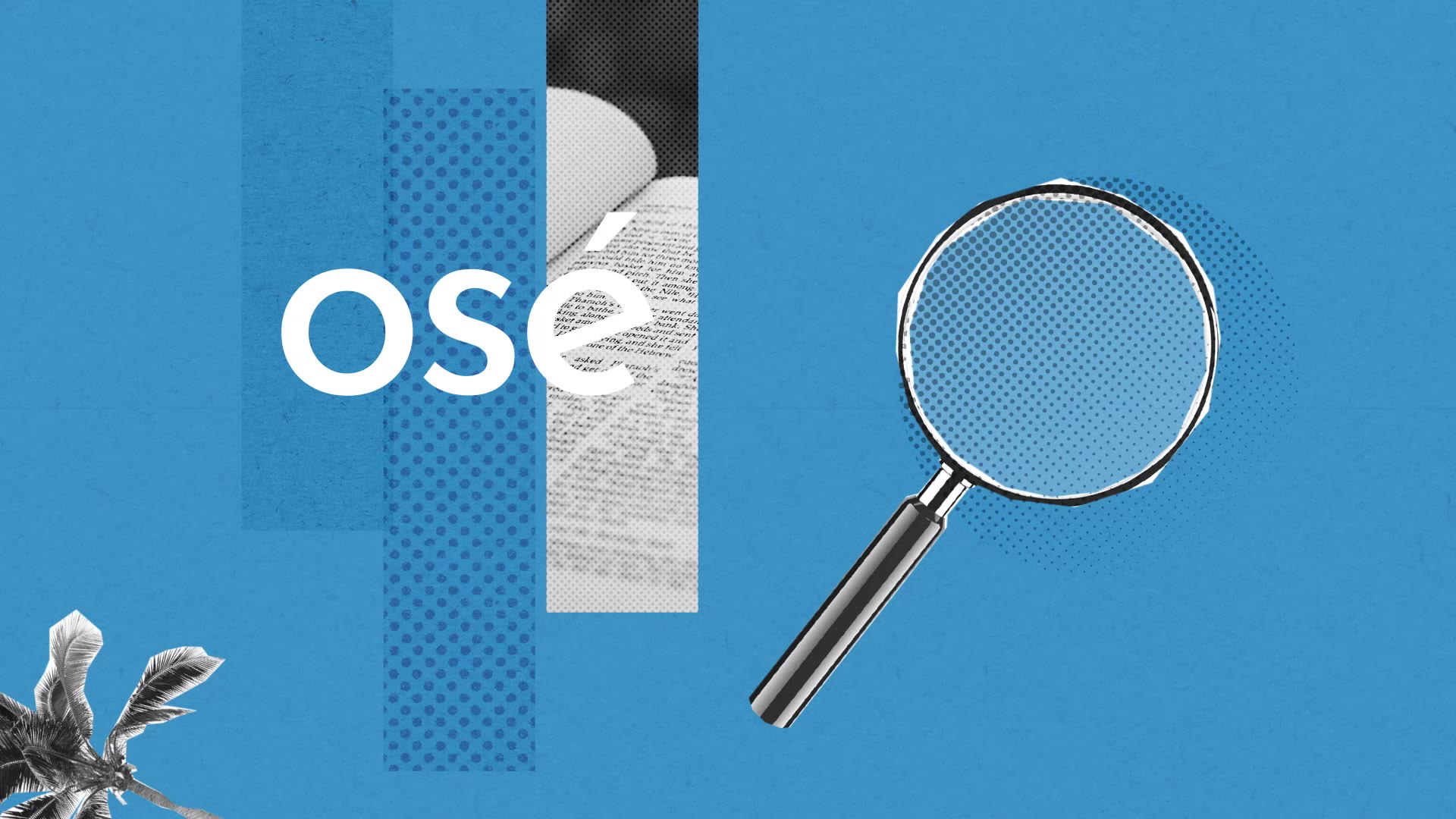 S Oppose Aux Oses En 5 Lettres Osé : Définition simple et facile du dictionnaire