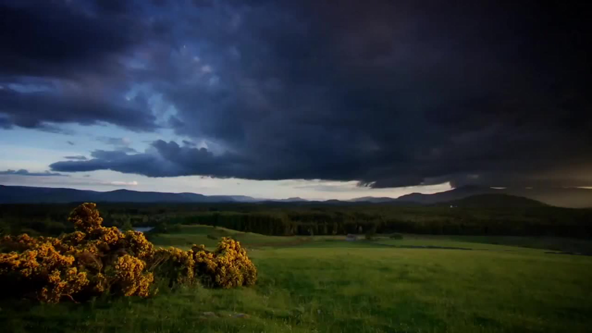 Indonésie sauvage : L'Ecosse à l'état sauvage : l'automne et l'hiver