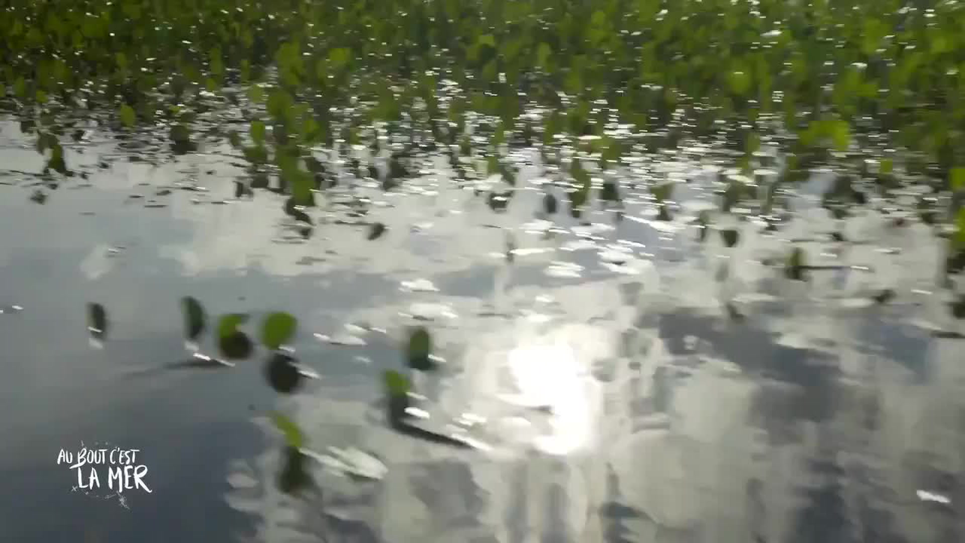 Au bout c'est la mer : Le Paraná