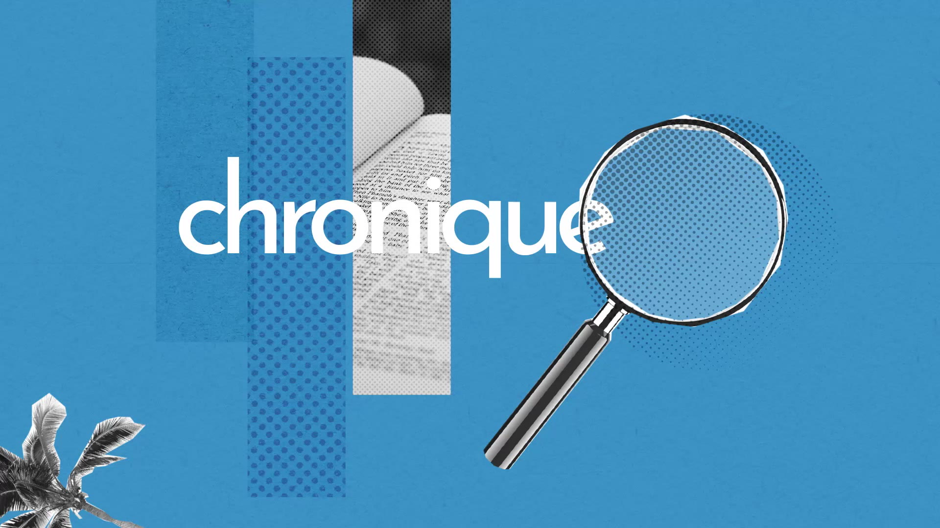 Chronique Definition Simple Et Facile Du Dictionnaire