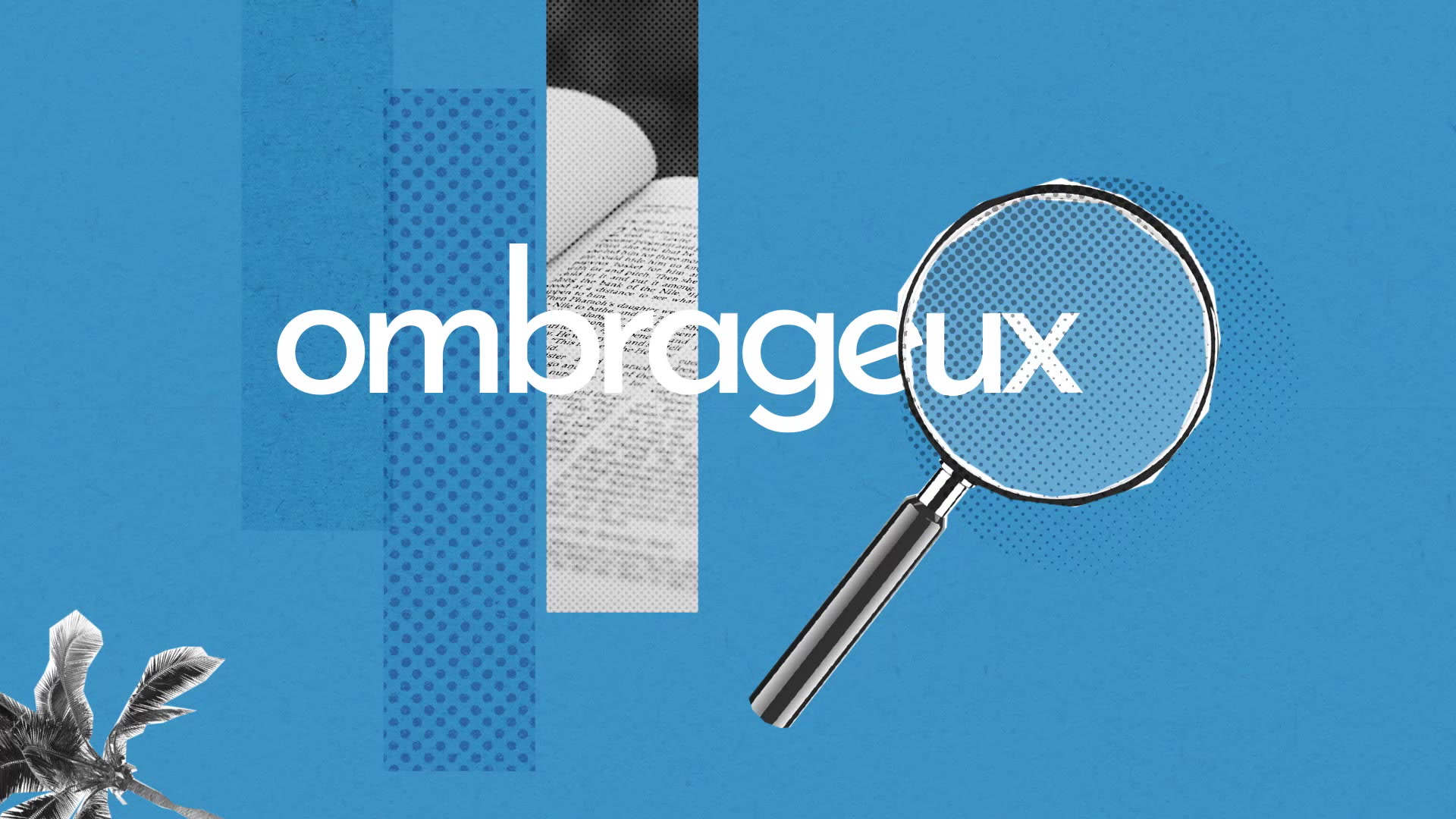 Ombrageux : Définition simple et facile du dictionnaire