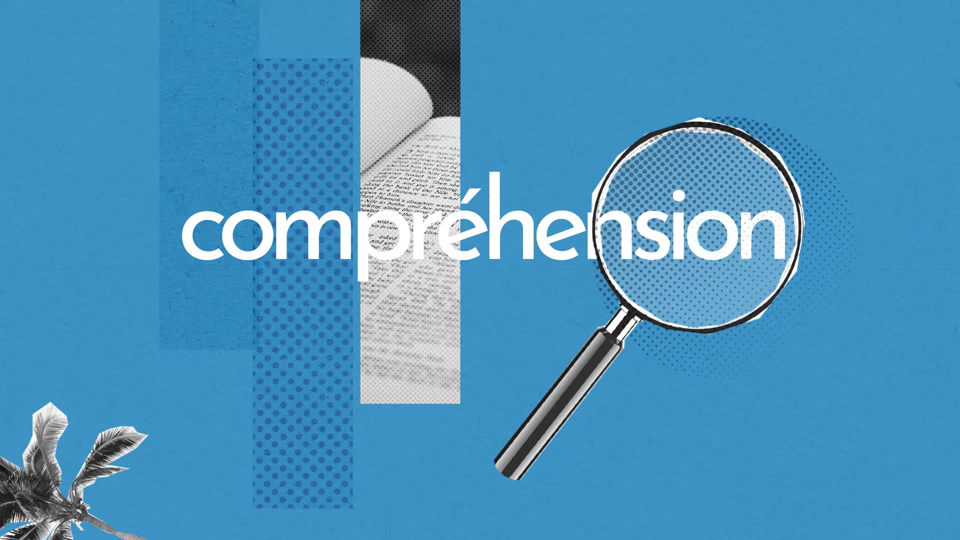 Comprehension Definition Simple Et Facile Du Dictionnaire