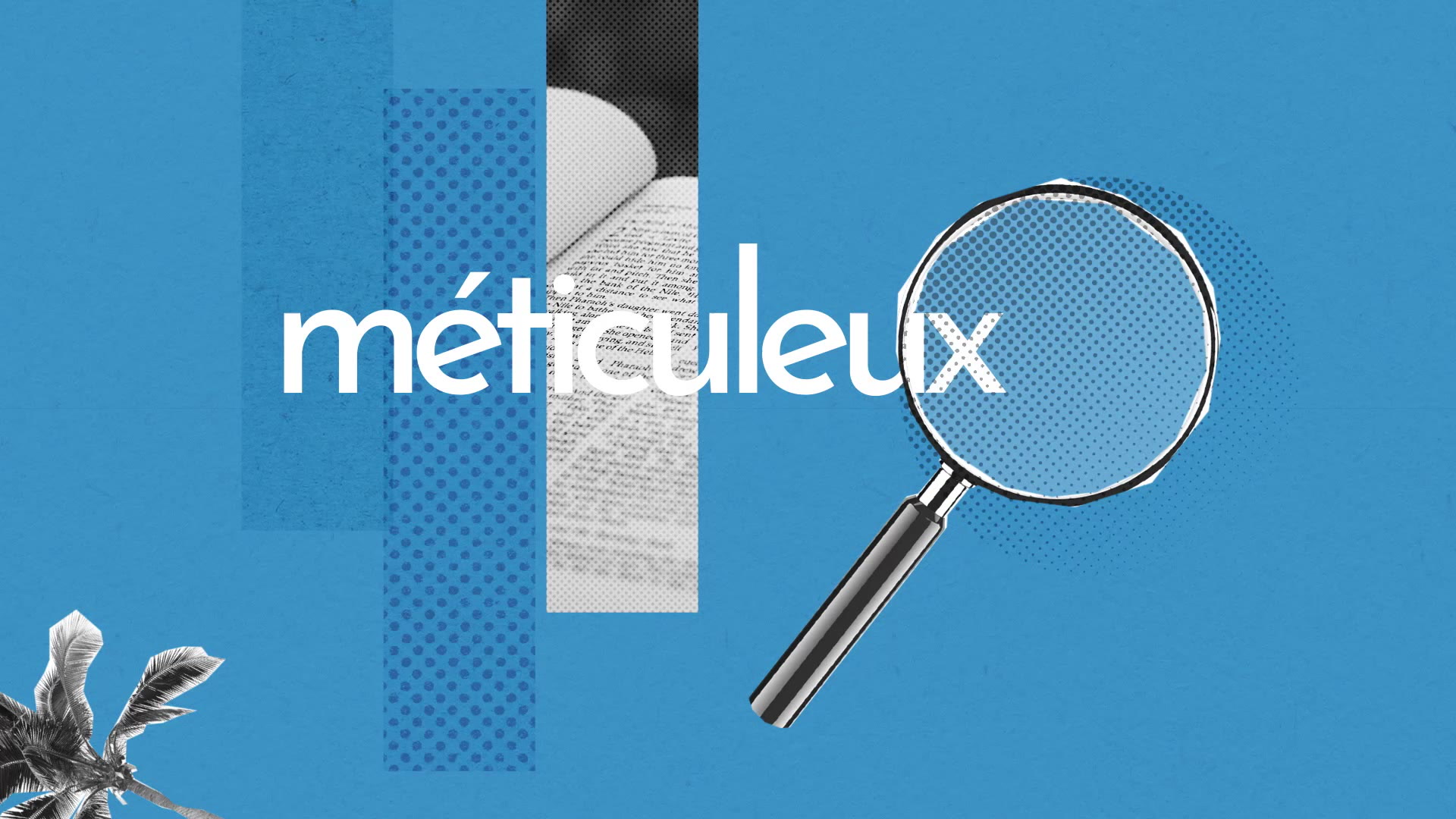 Méticuleux : Définition simple et facile du dictionnaire