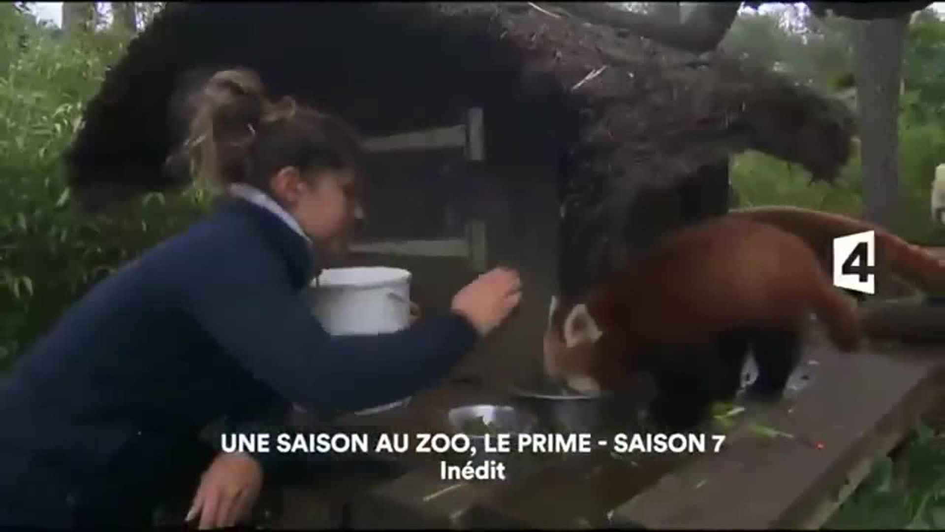 Une saison au zoo