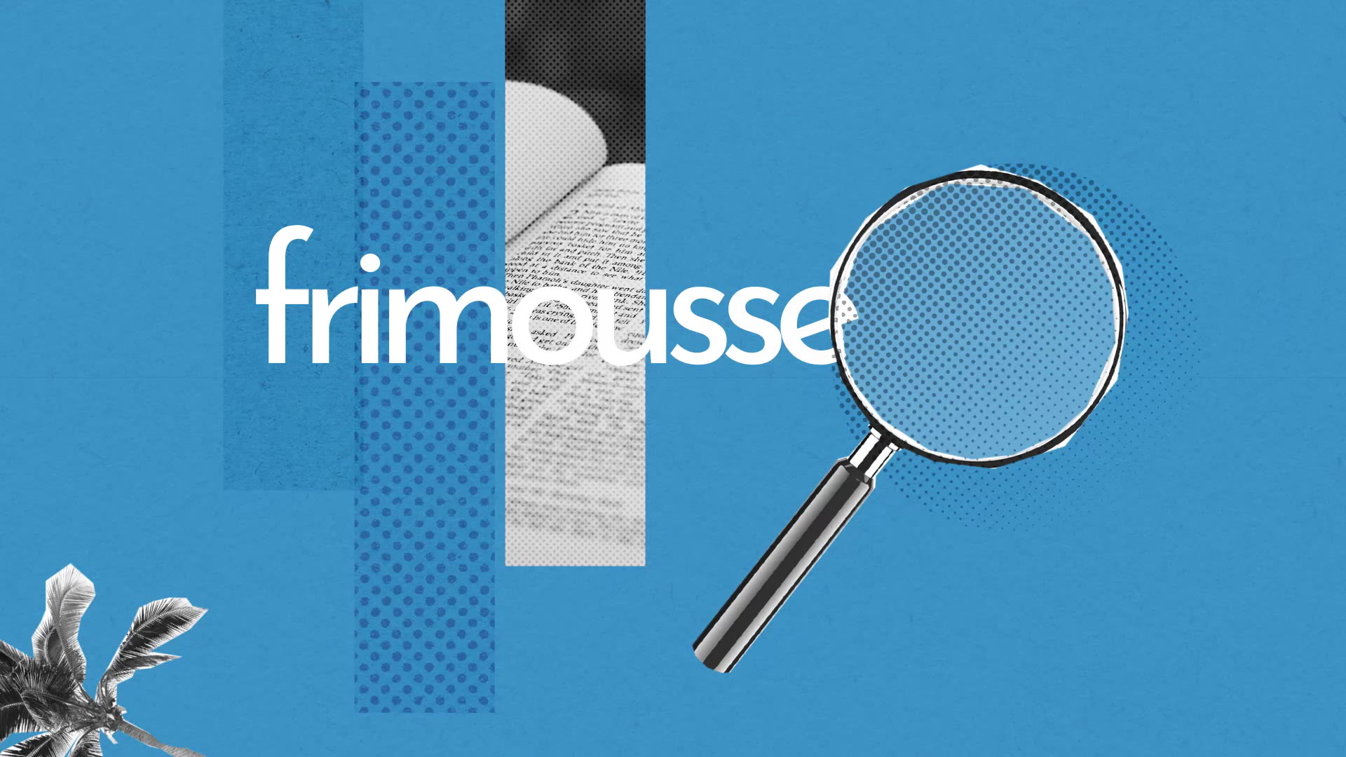 Frimousse Definition Simple Et Facile Du Dictionnaire
