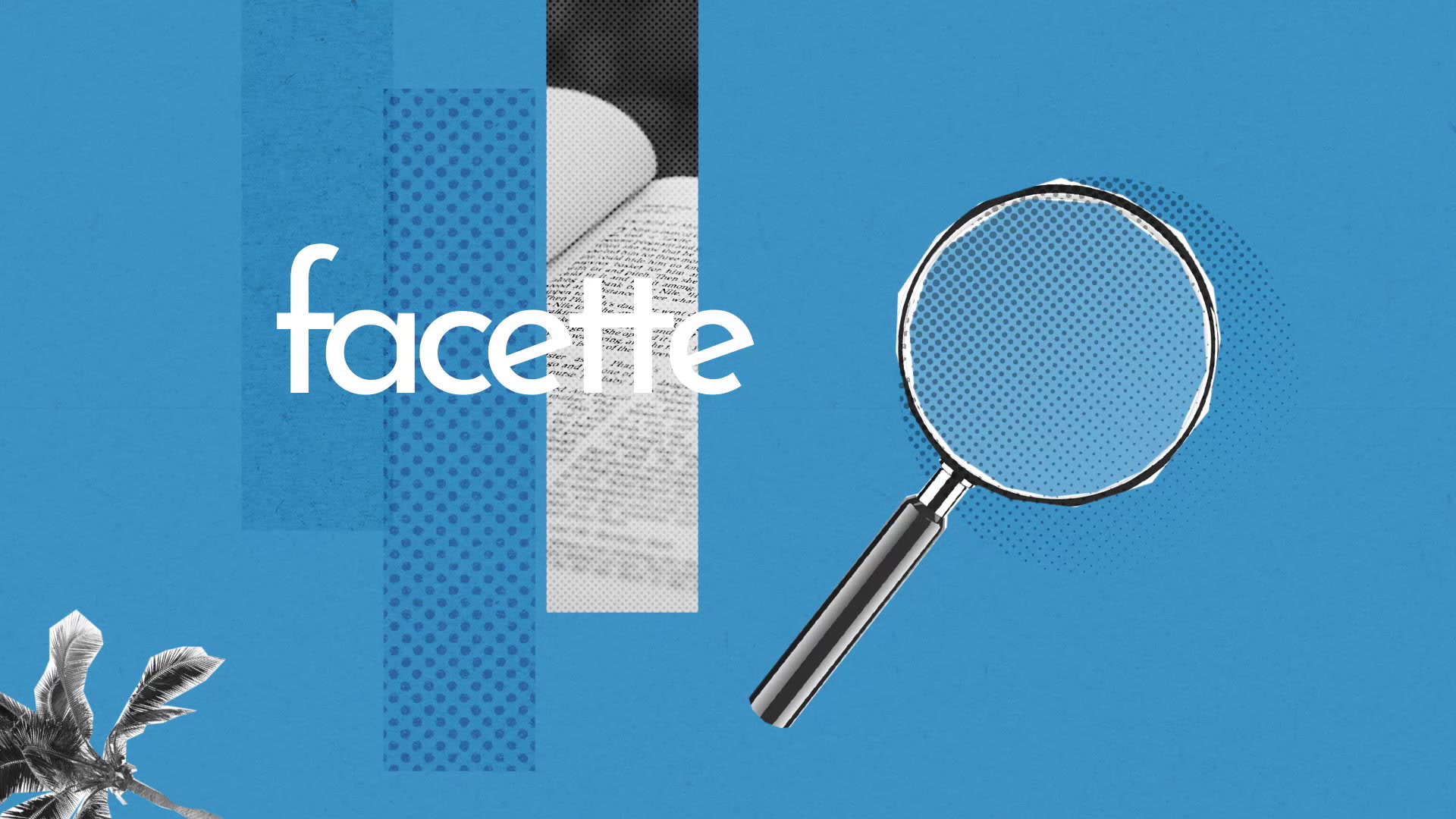 Facette : Définition simple et facile du dictionnaire