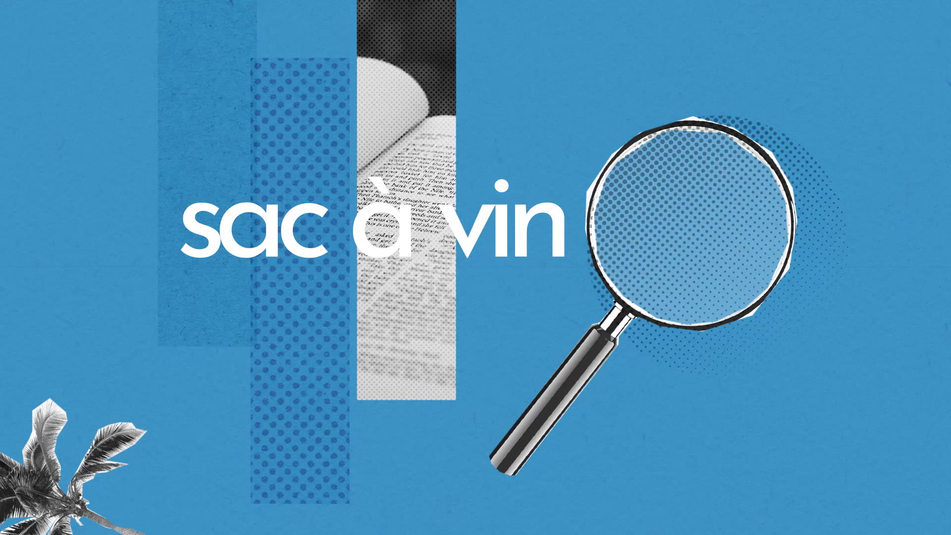 Sac vin