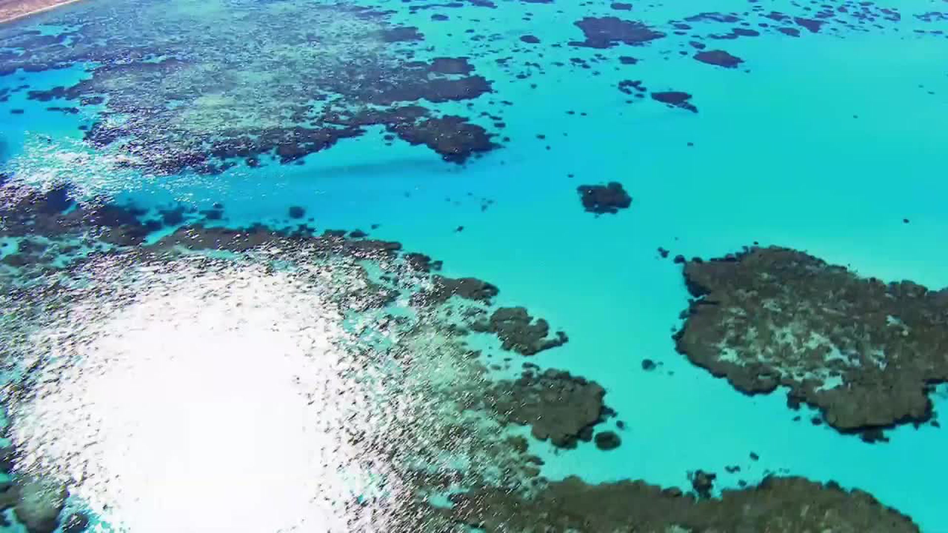Destination Wild
