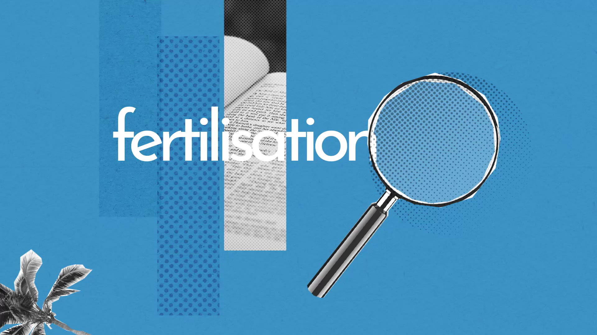 Fertilisation : définition et explications