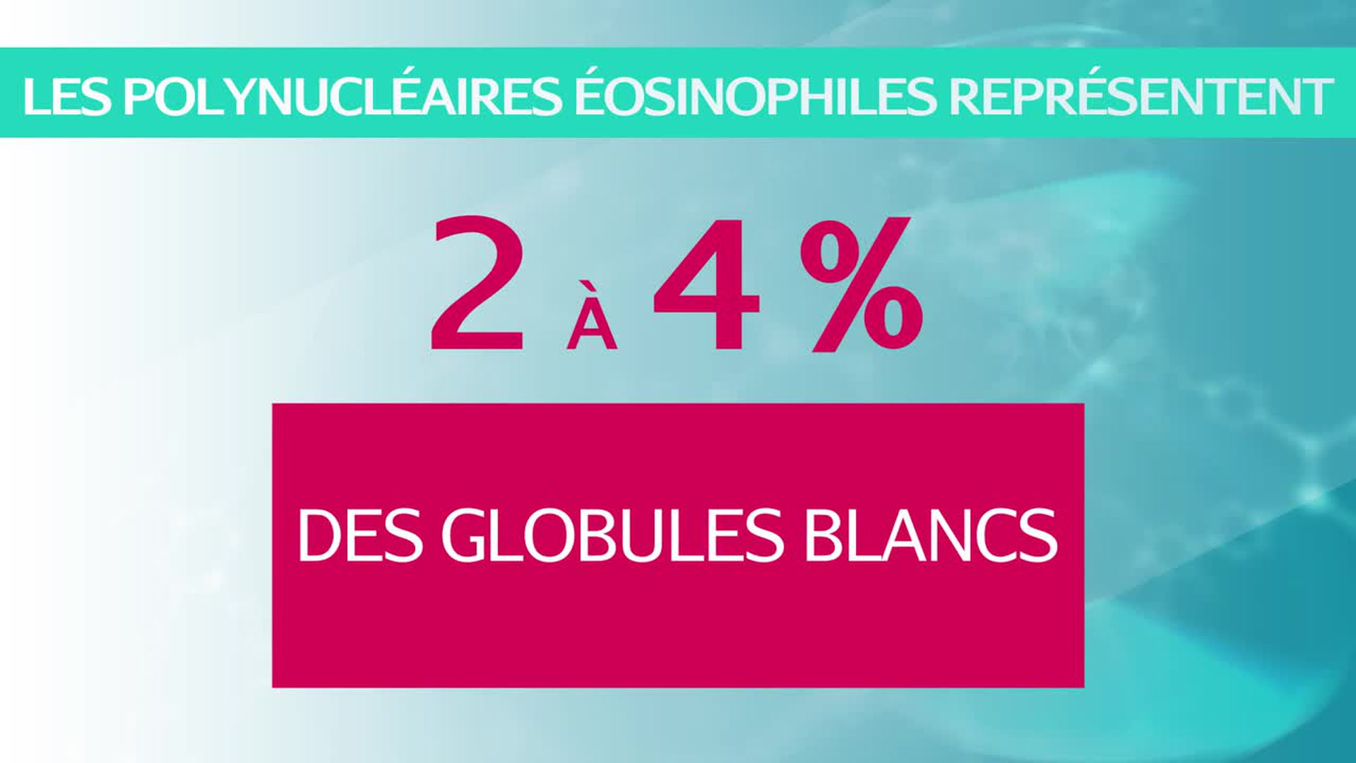 Polynucléaires éosinophiles Définition Et Causes Dun Taux élevé