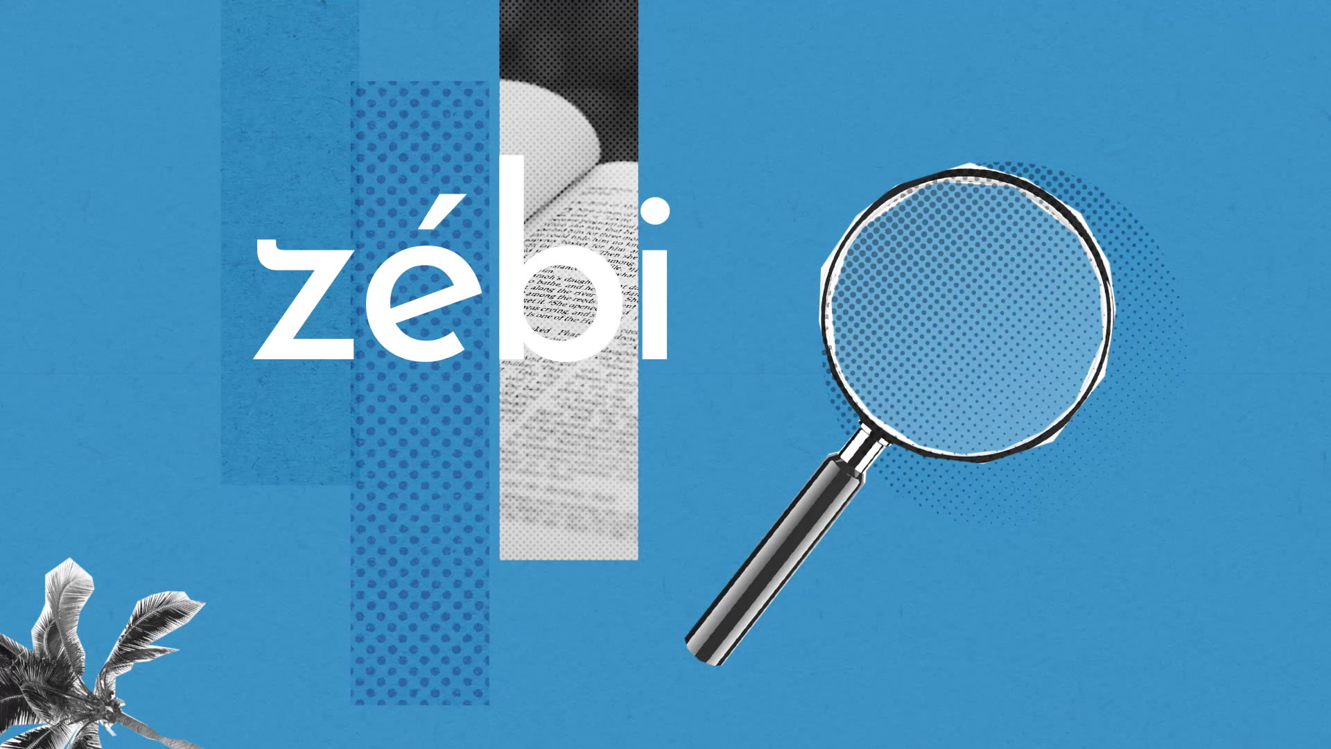 Zébi